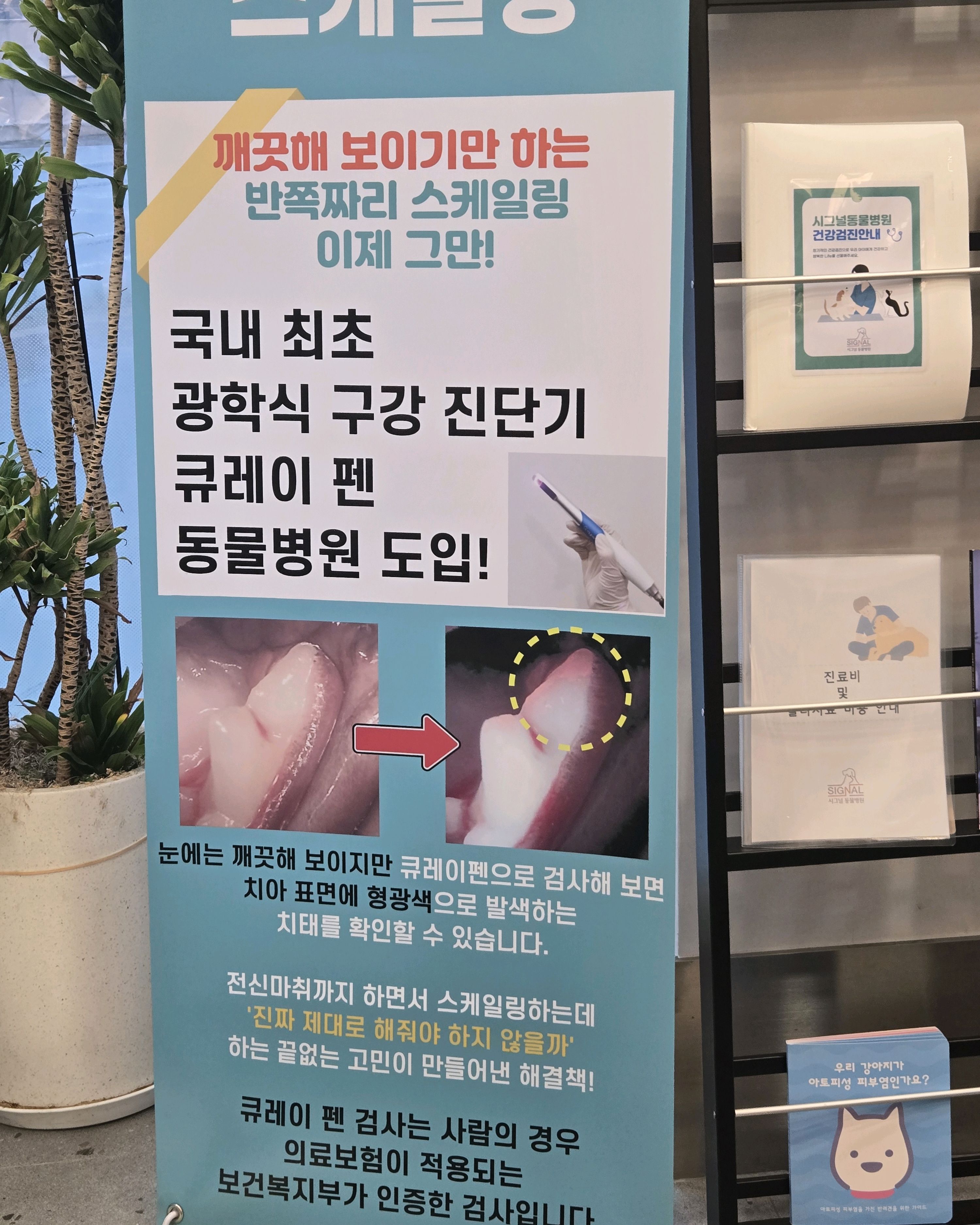 리뷰 사진 1