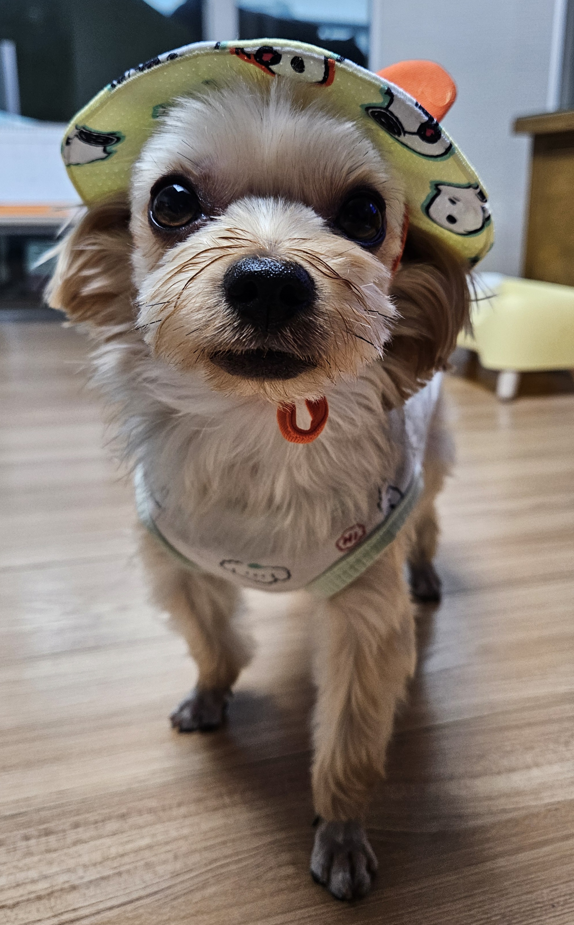 리뷰 사진 2
