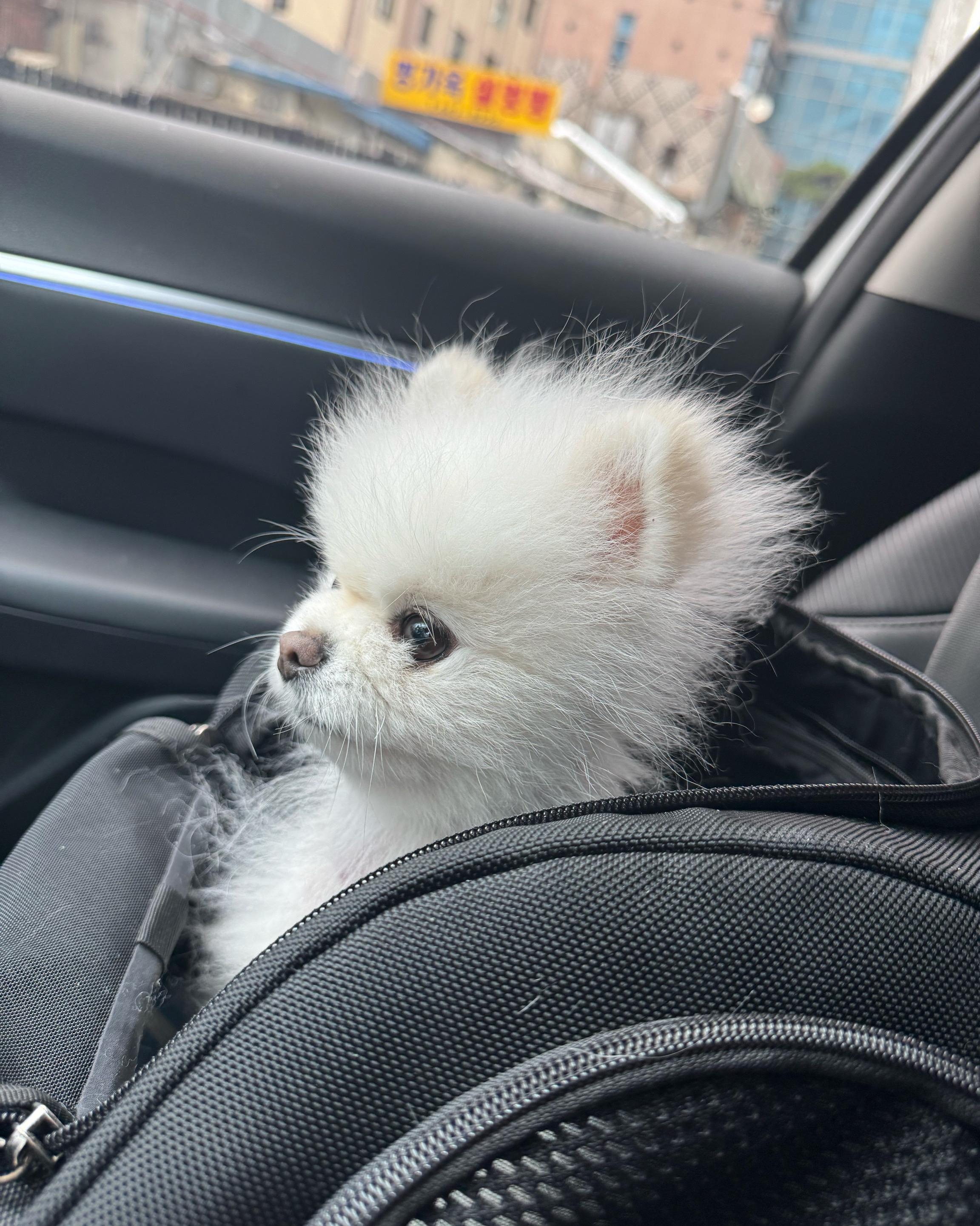리뷰 사진 1