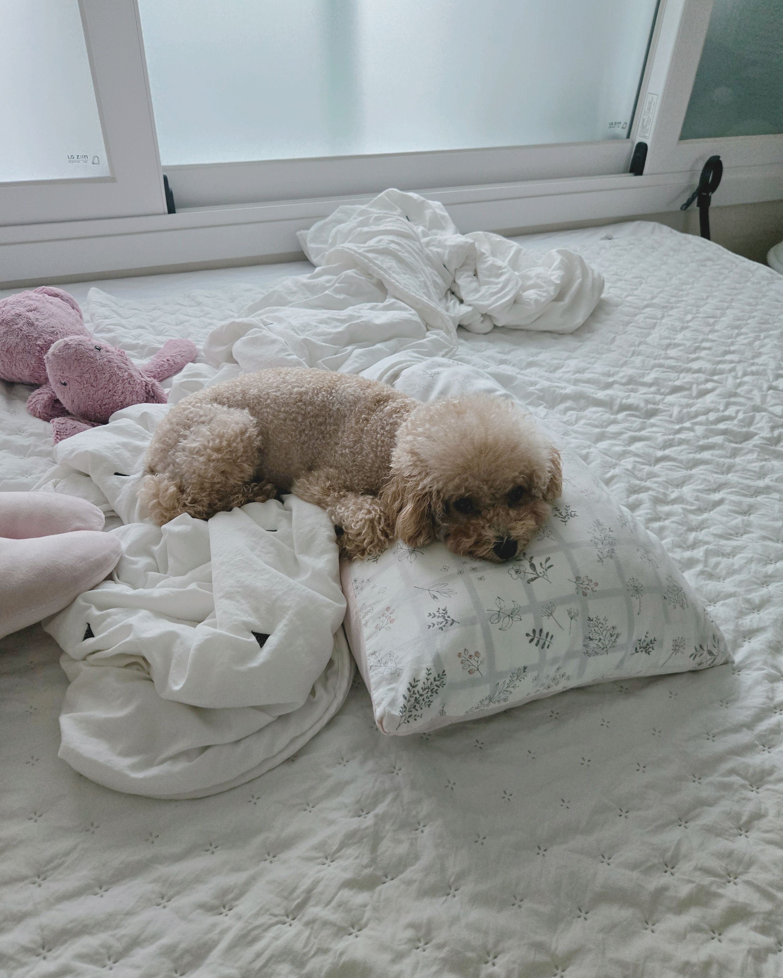 리뷰 사진 1