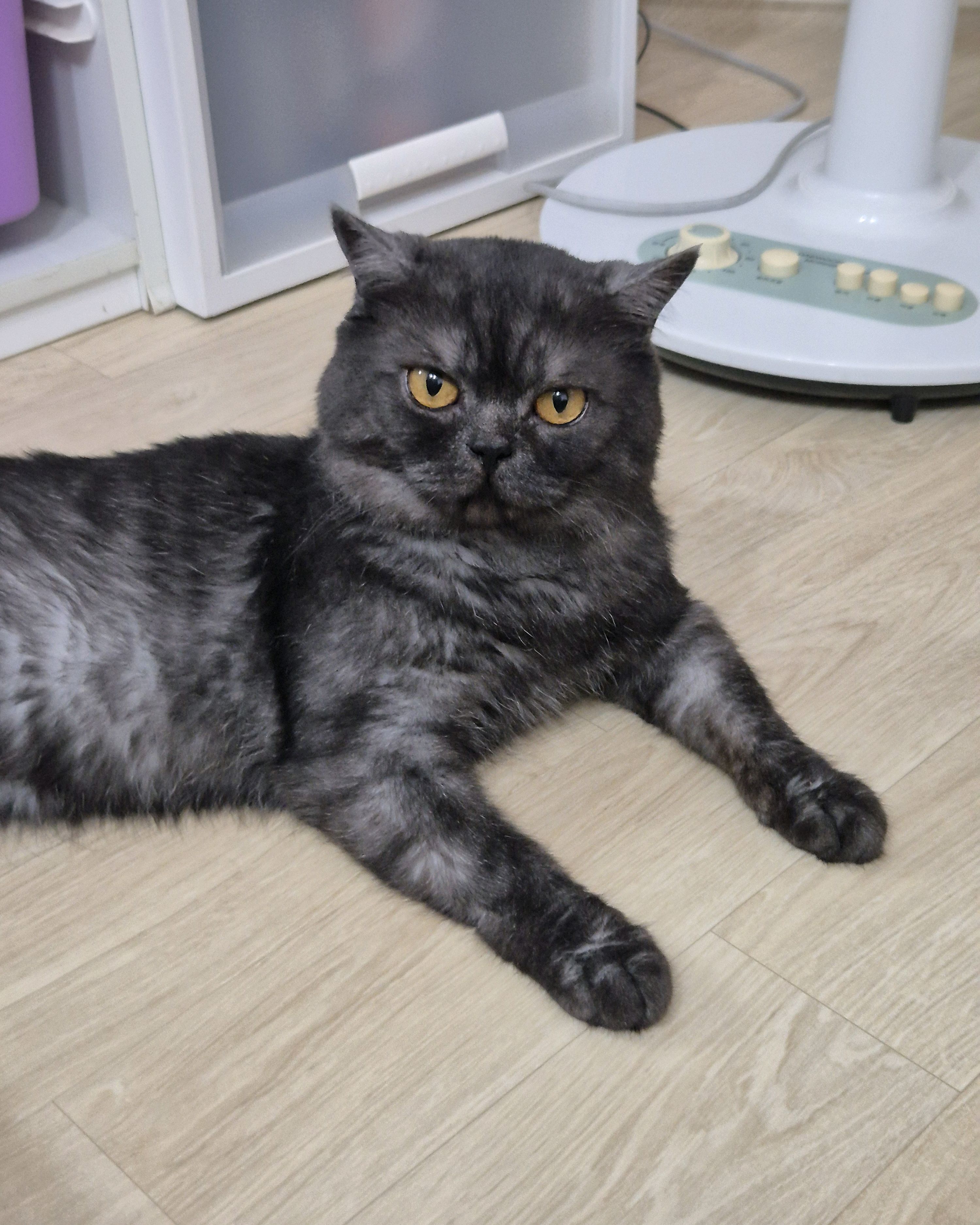 포포동물병원 사진 5
