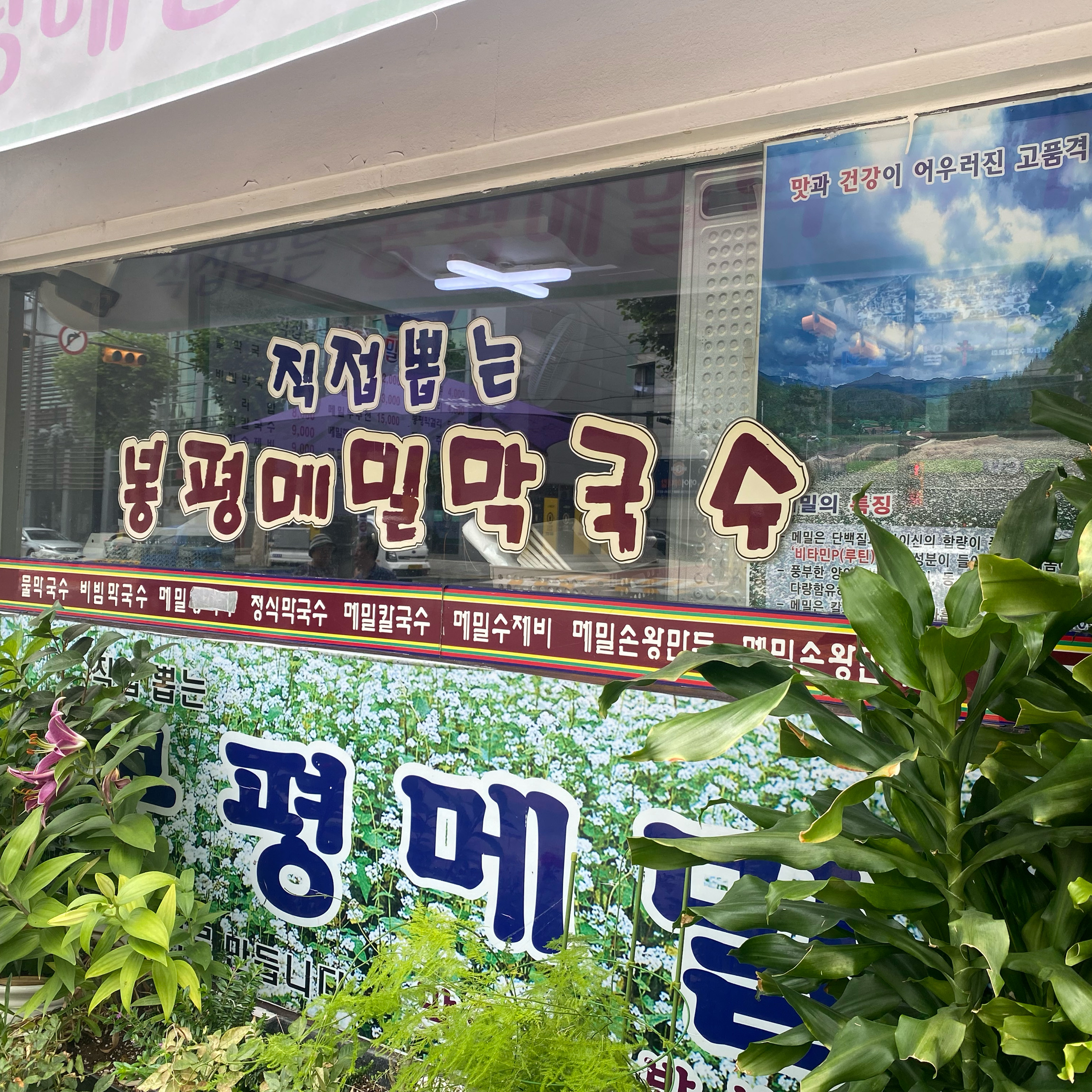 보리밥, 김치, 막국수 세트