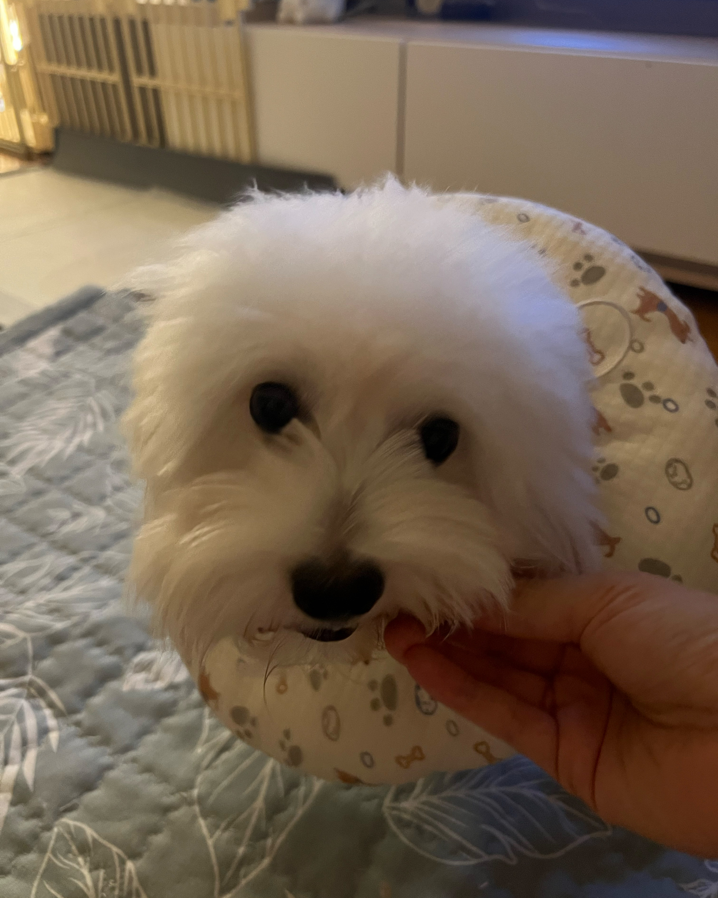 리뷰 사진 2