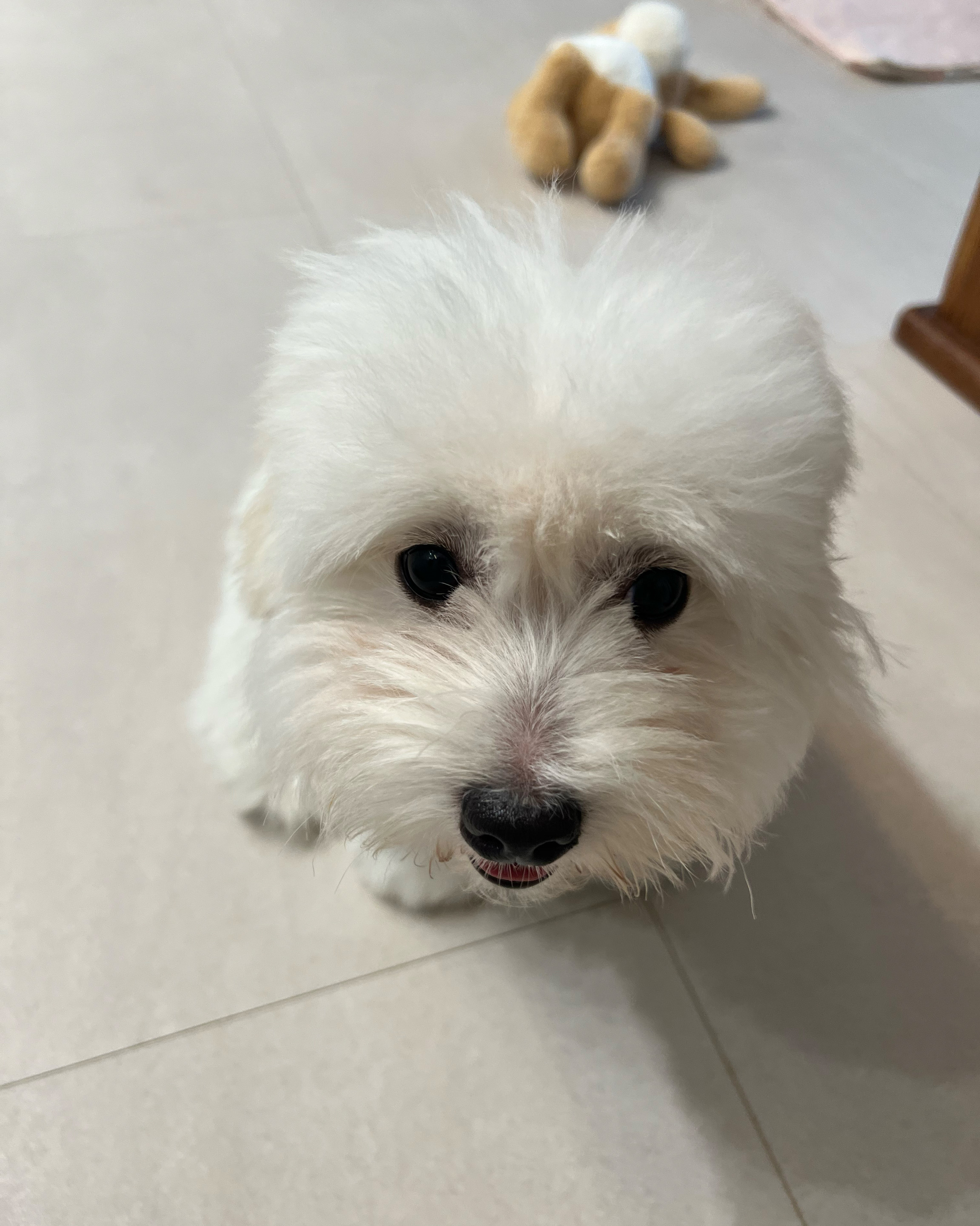 리뷰 사진 1