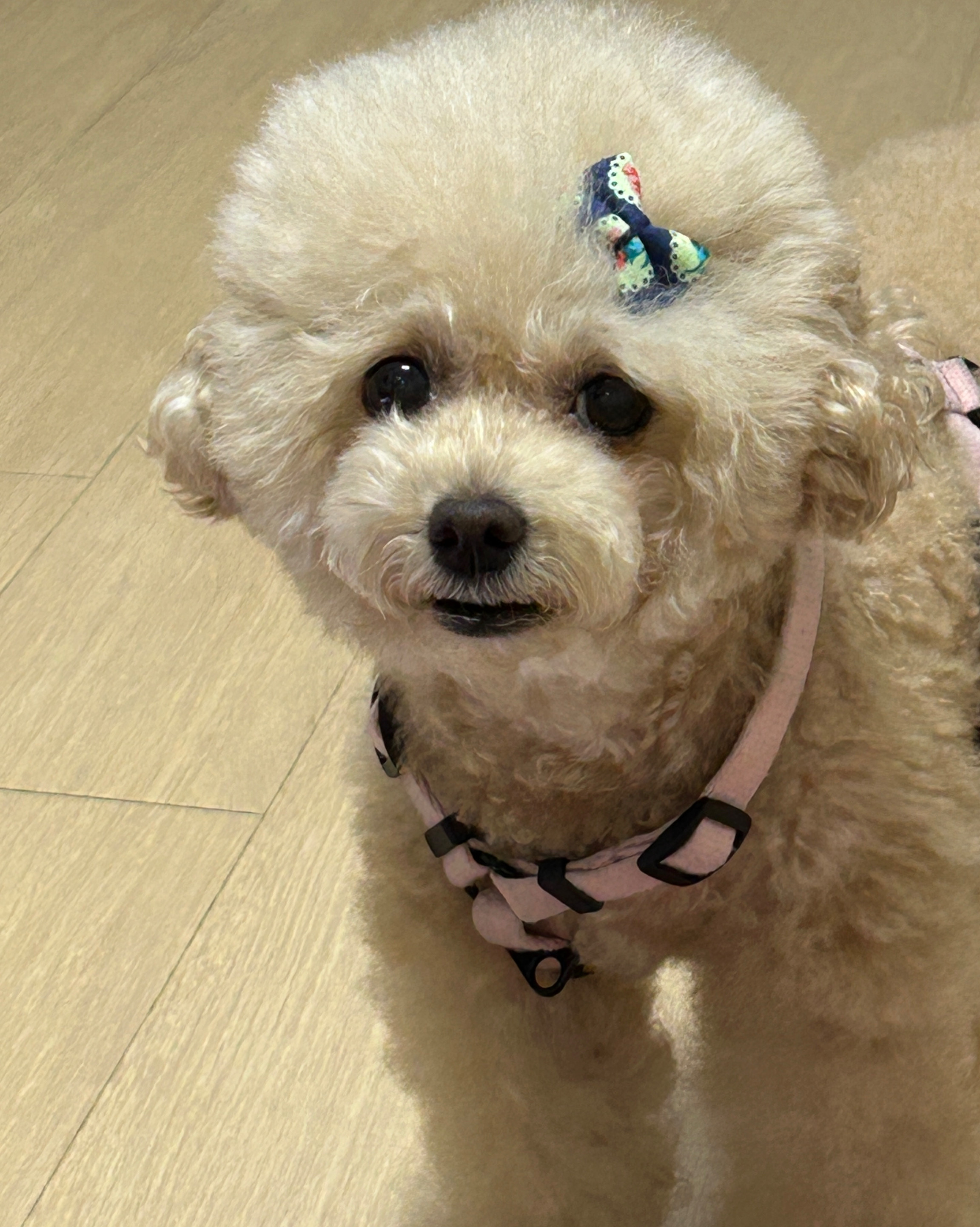 리뷰 사진 1