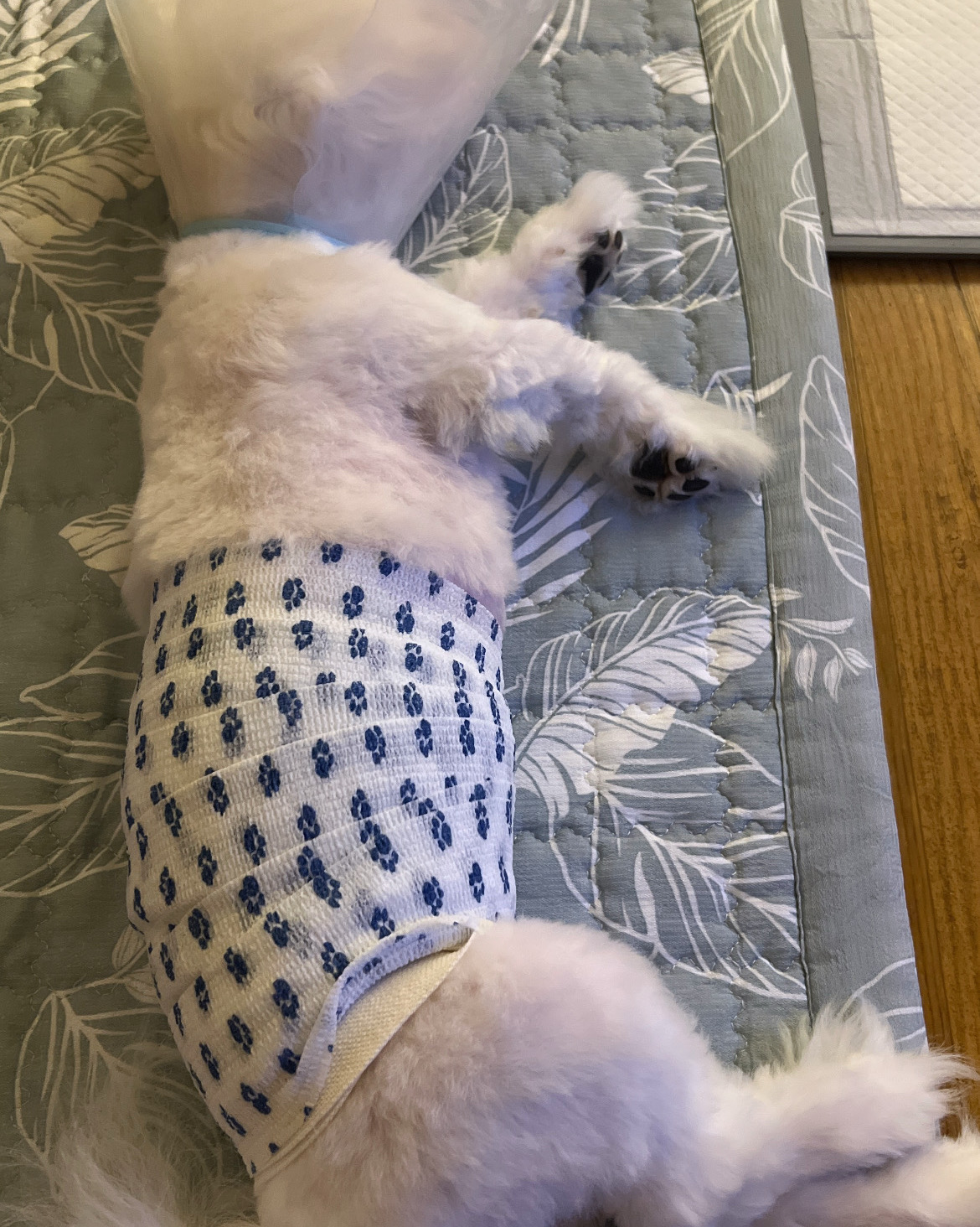 리뷰 사진 1