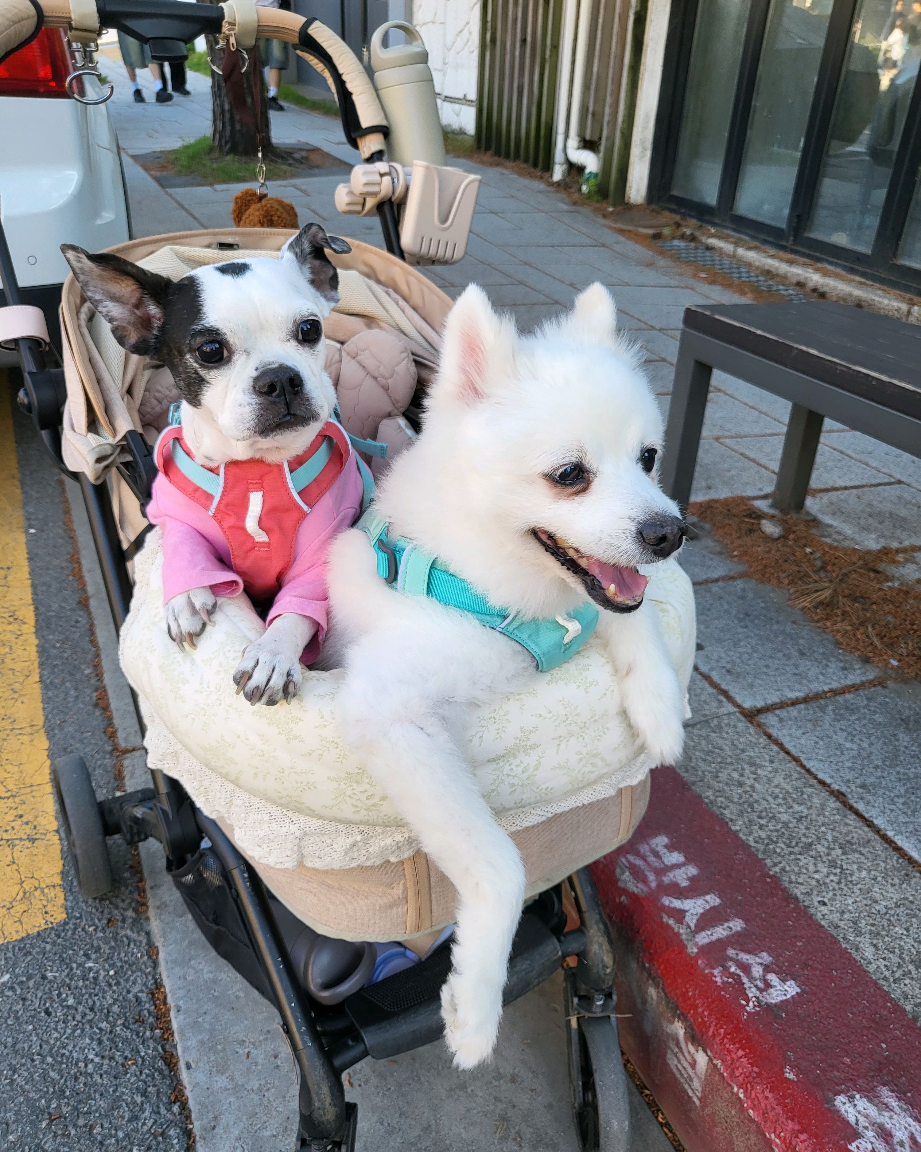 리뷰 사진 1