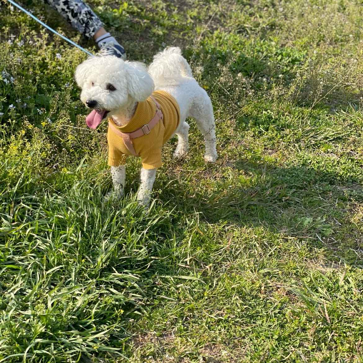 리뷰 사진 1