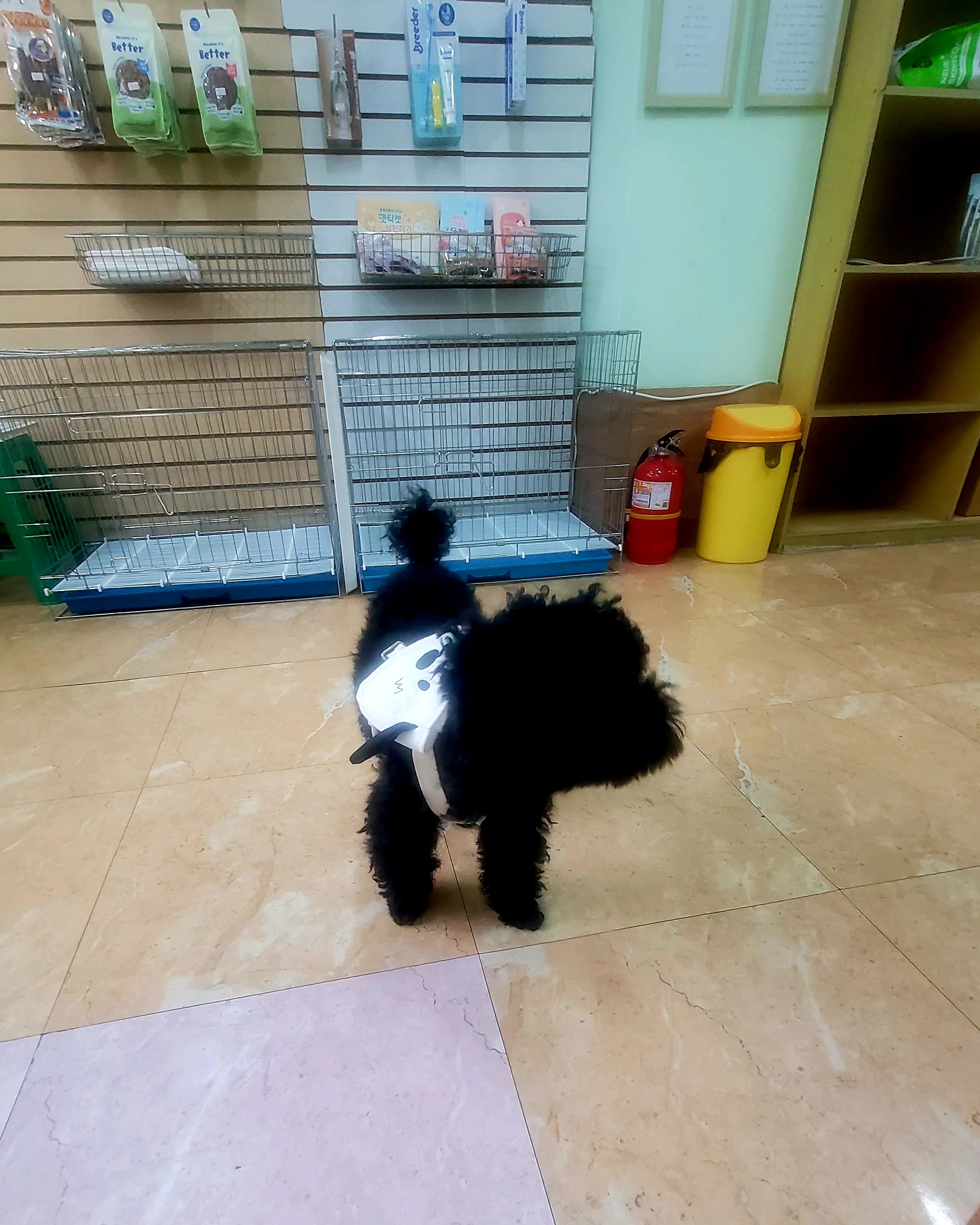 리뷰 사진 2