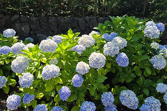湮_15
