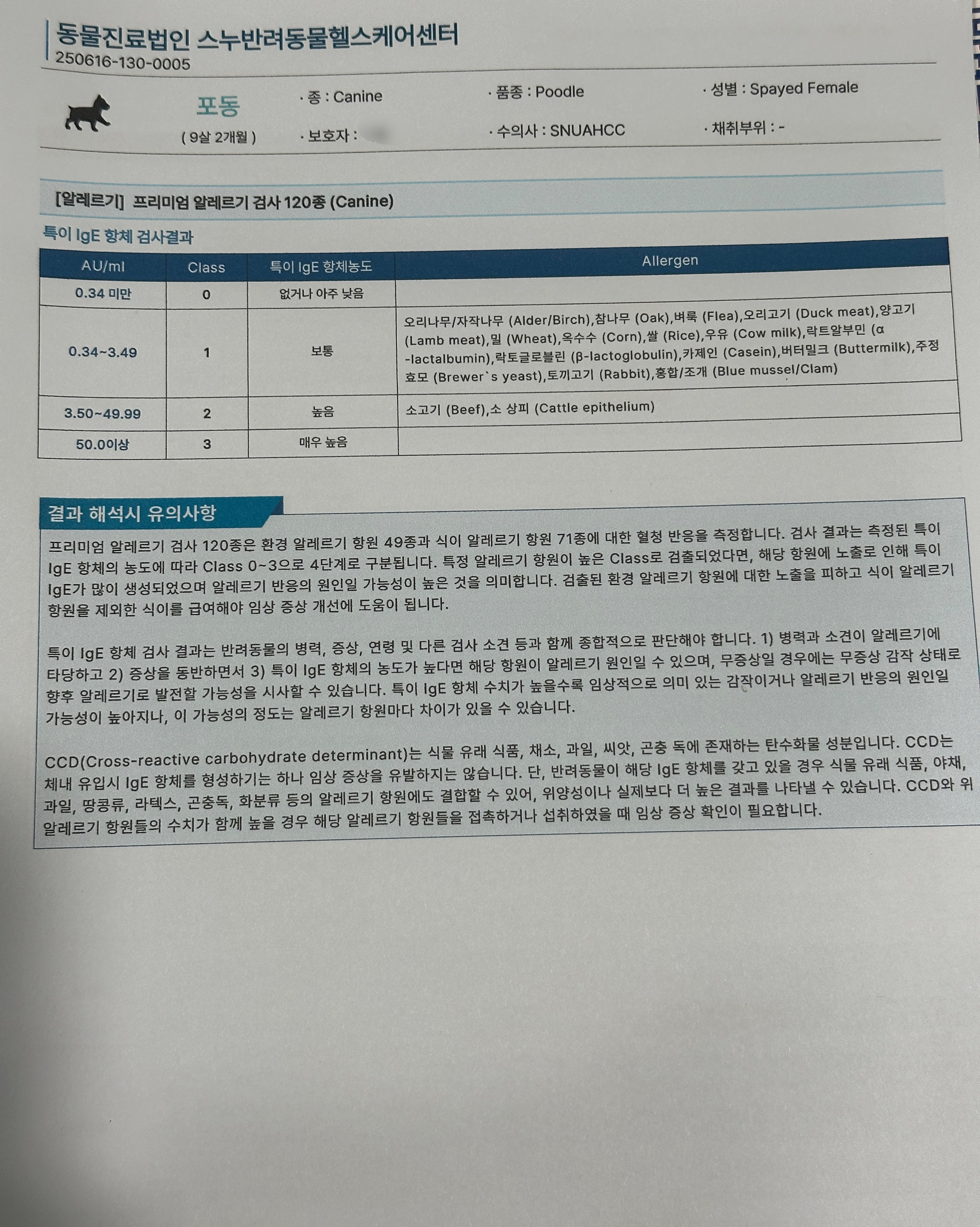 리뷰 사진 6