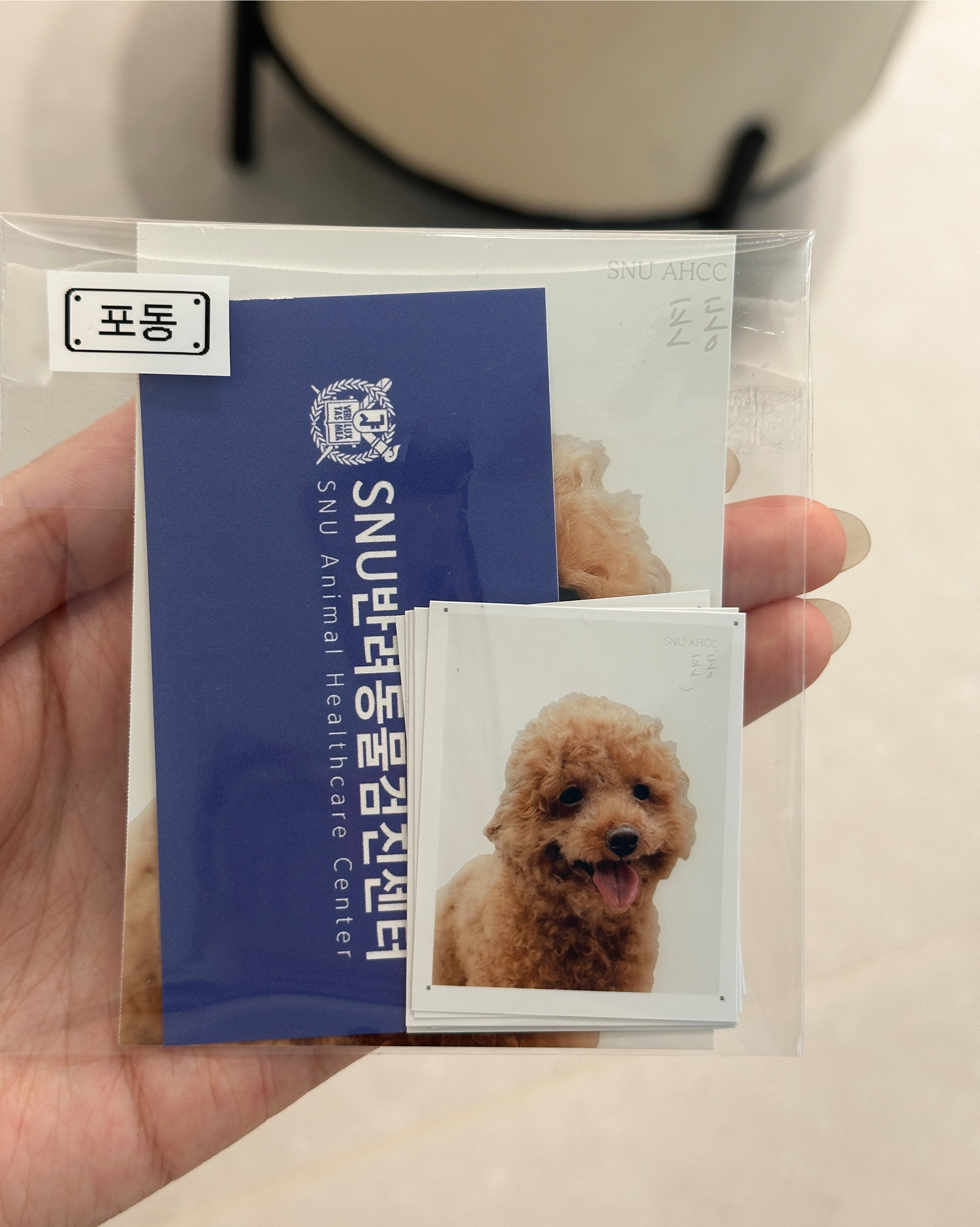 리뷰 사진 8
