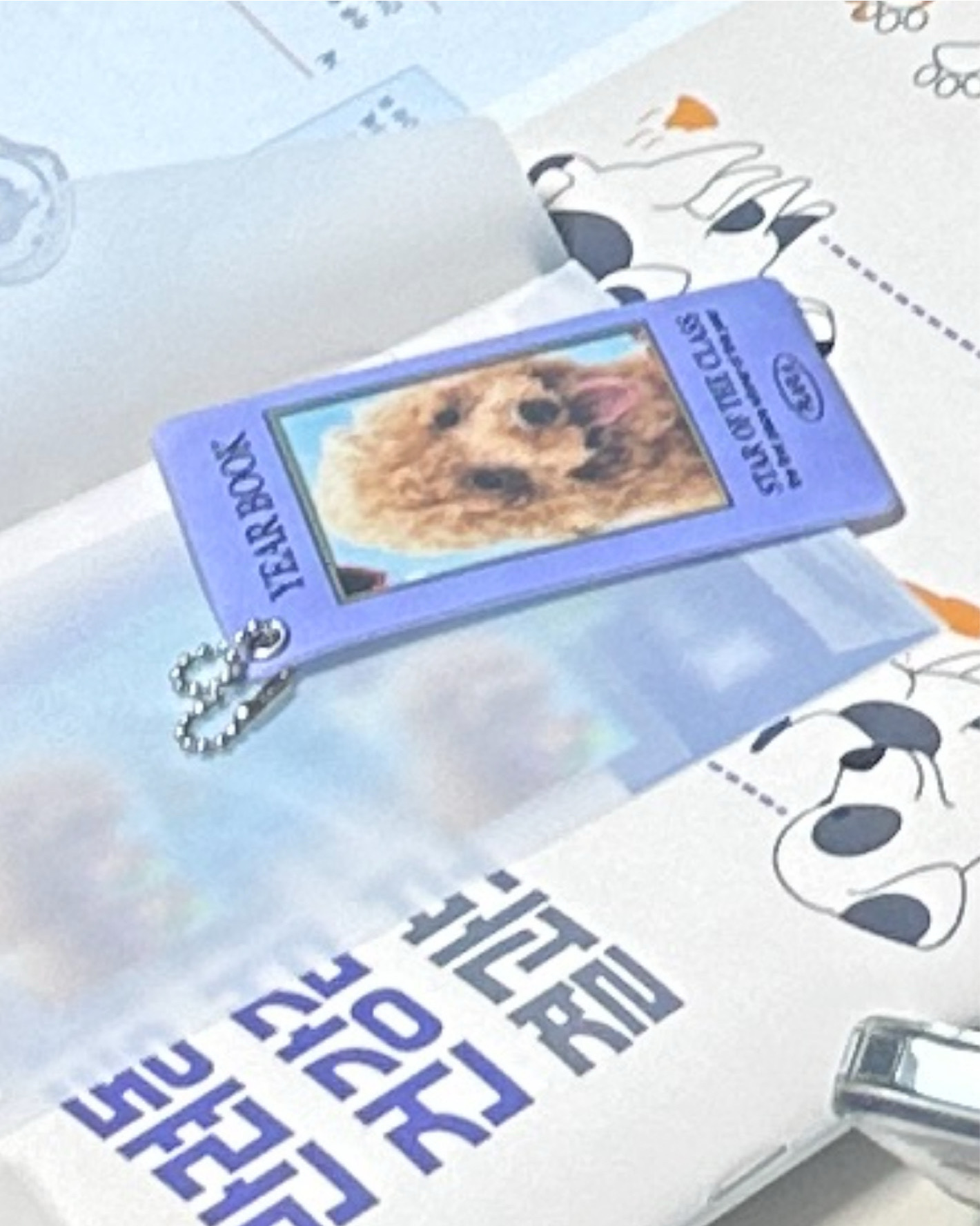 리뷰 사진 10