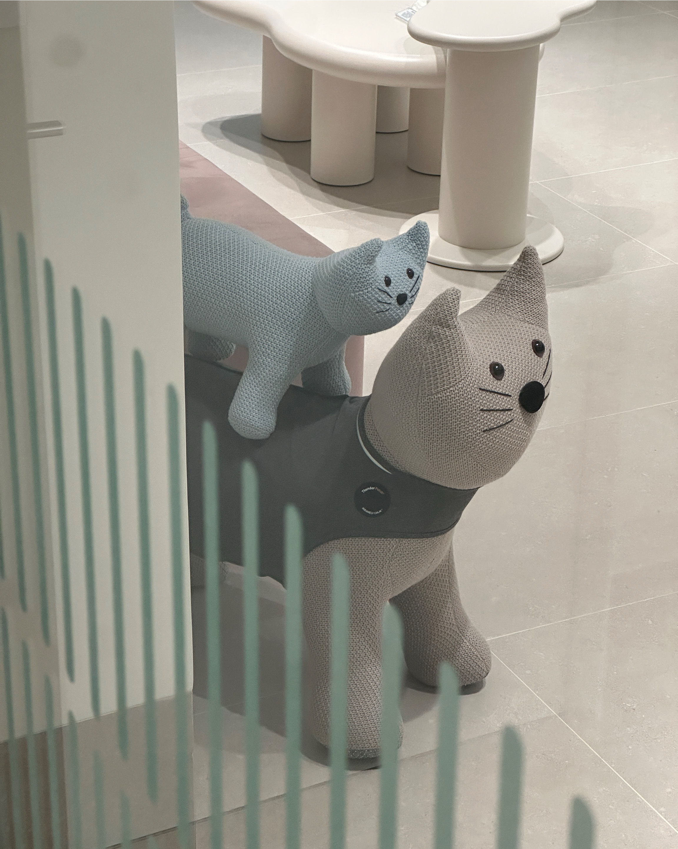리뷰 사진 14
