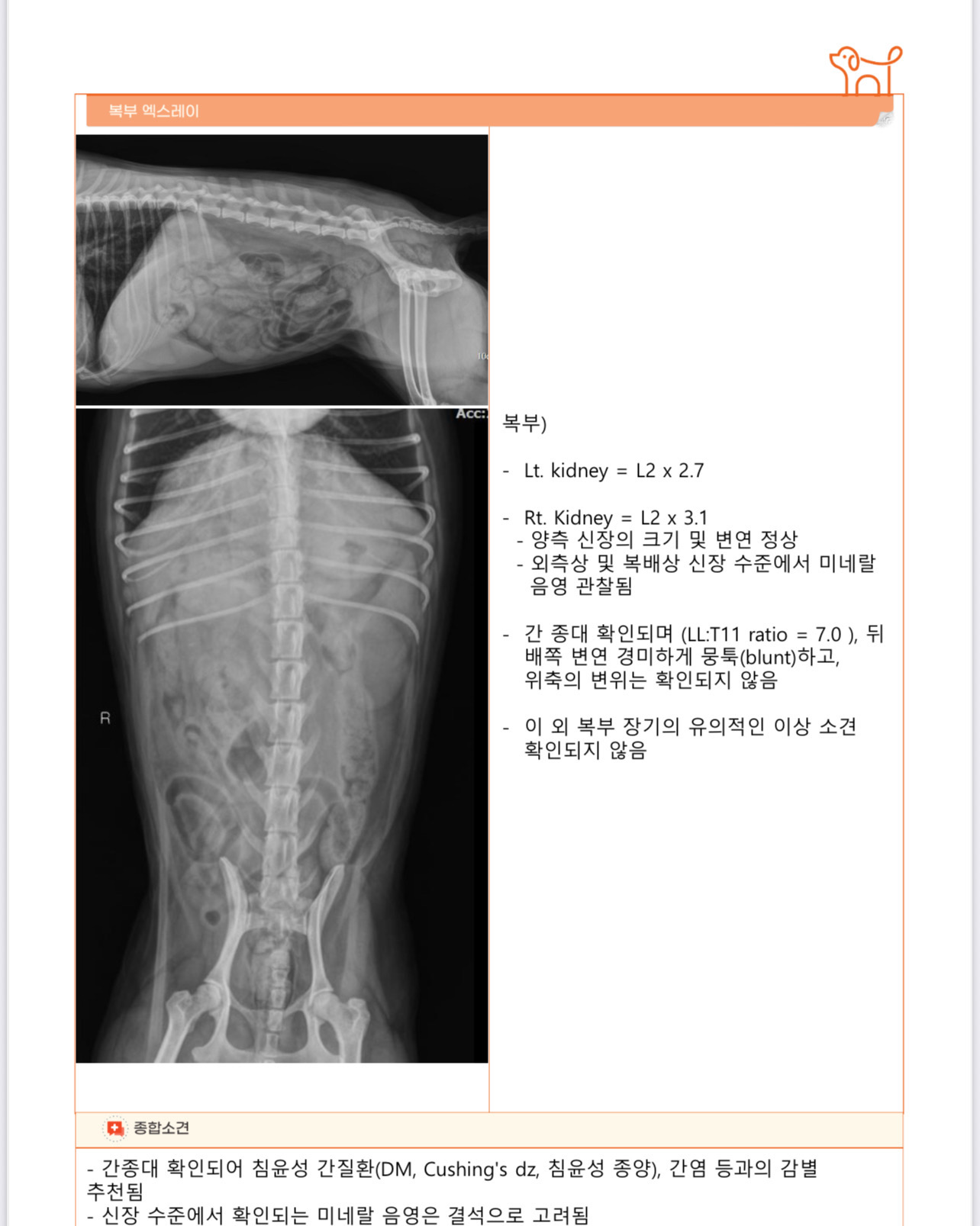 리뷰 사진 2