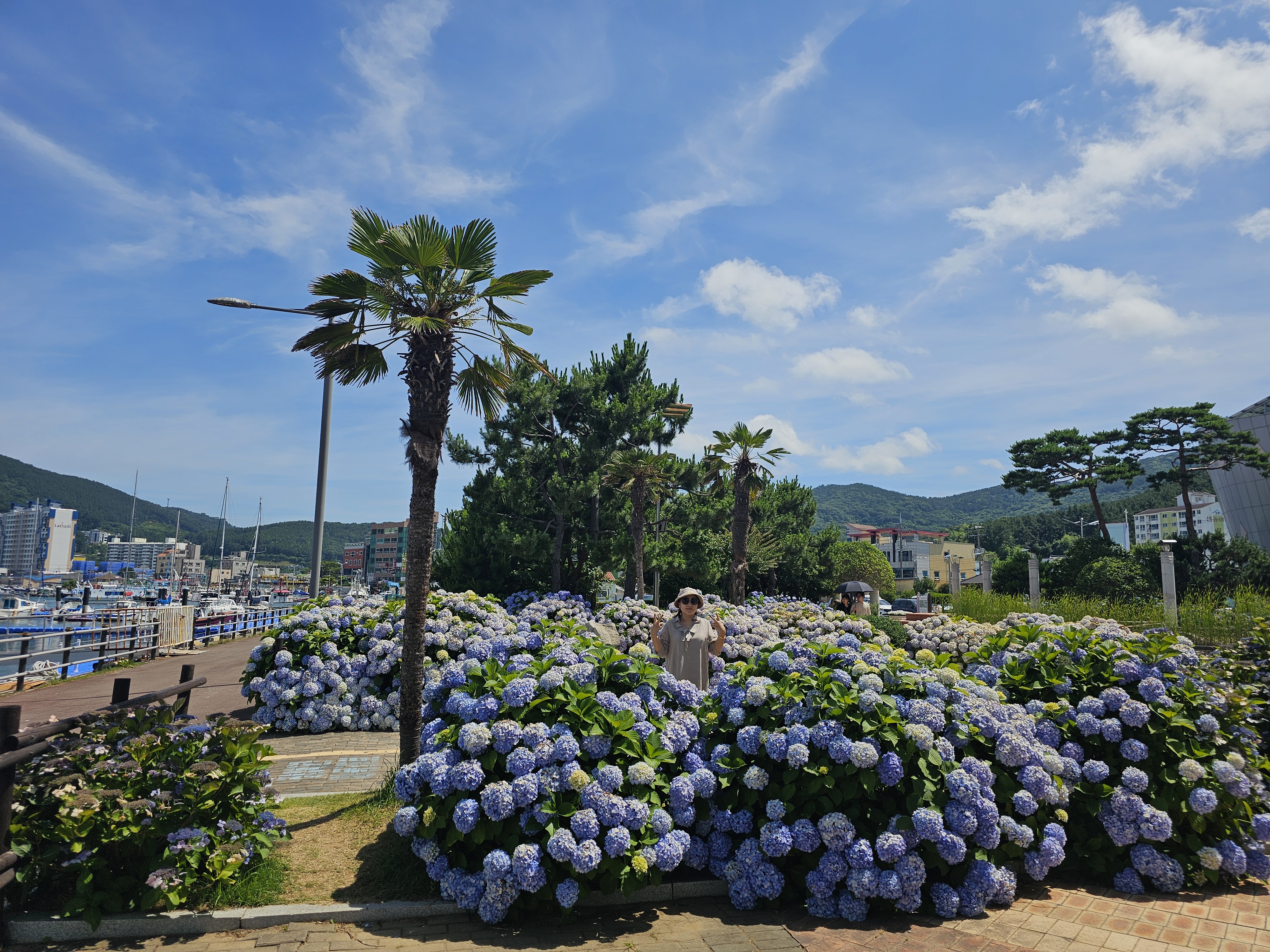 신선한 간과 천엽