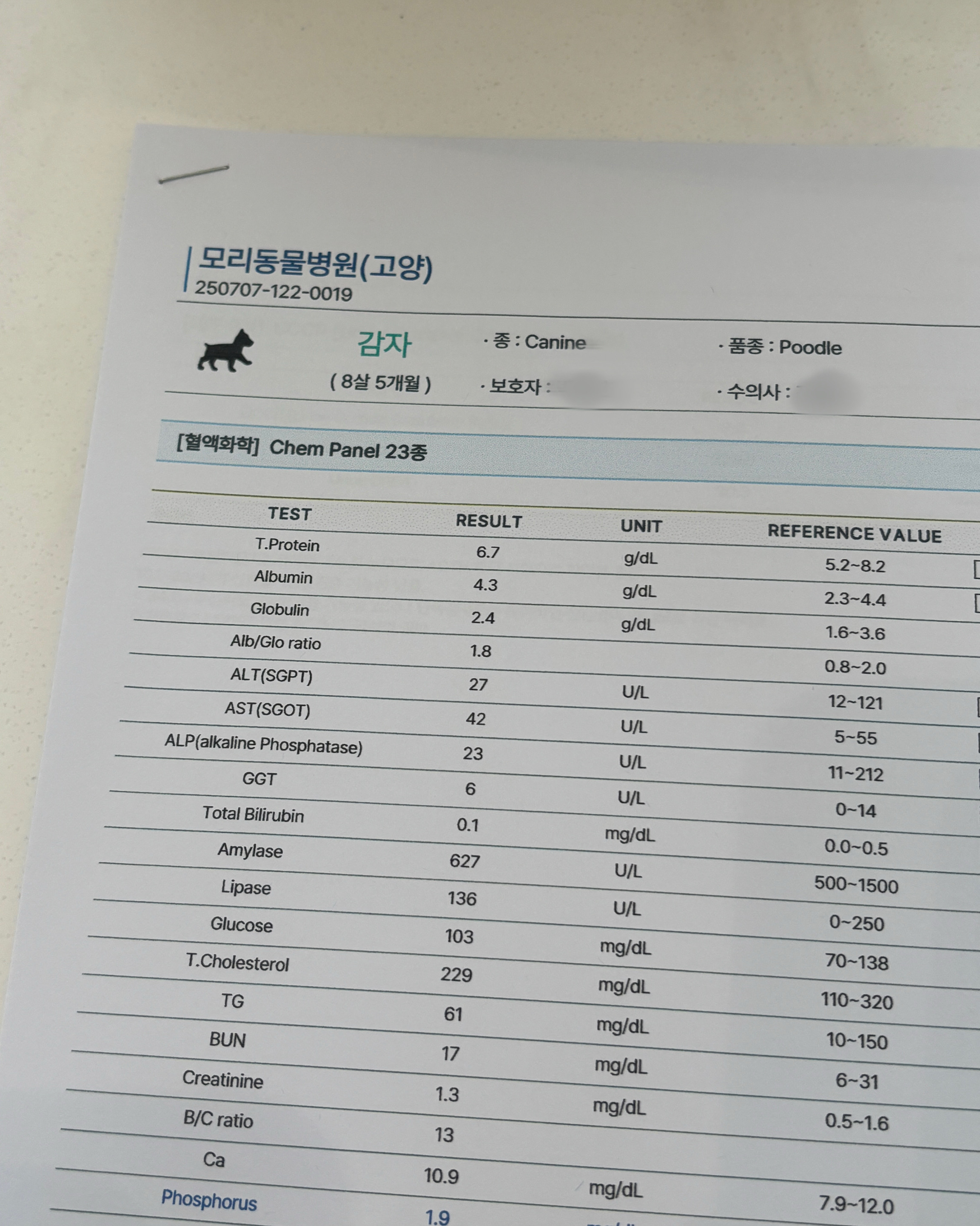 리뷰 사진 4