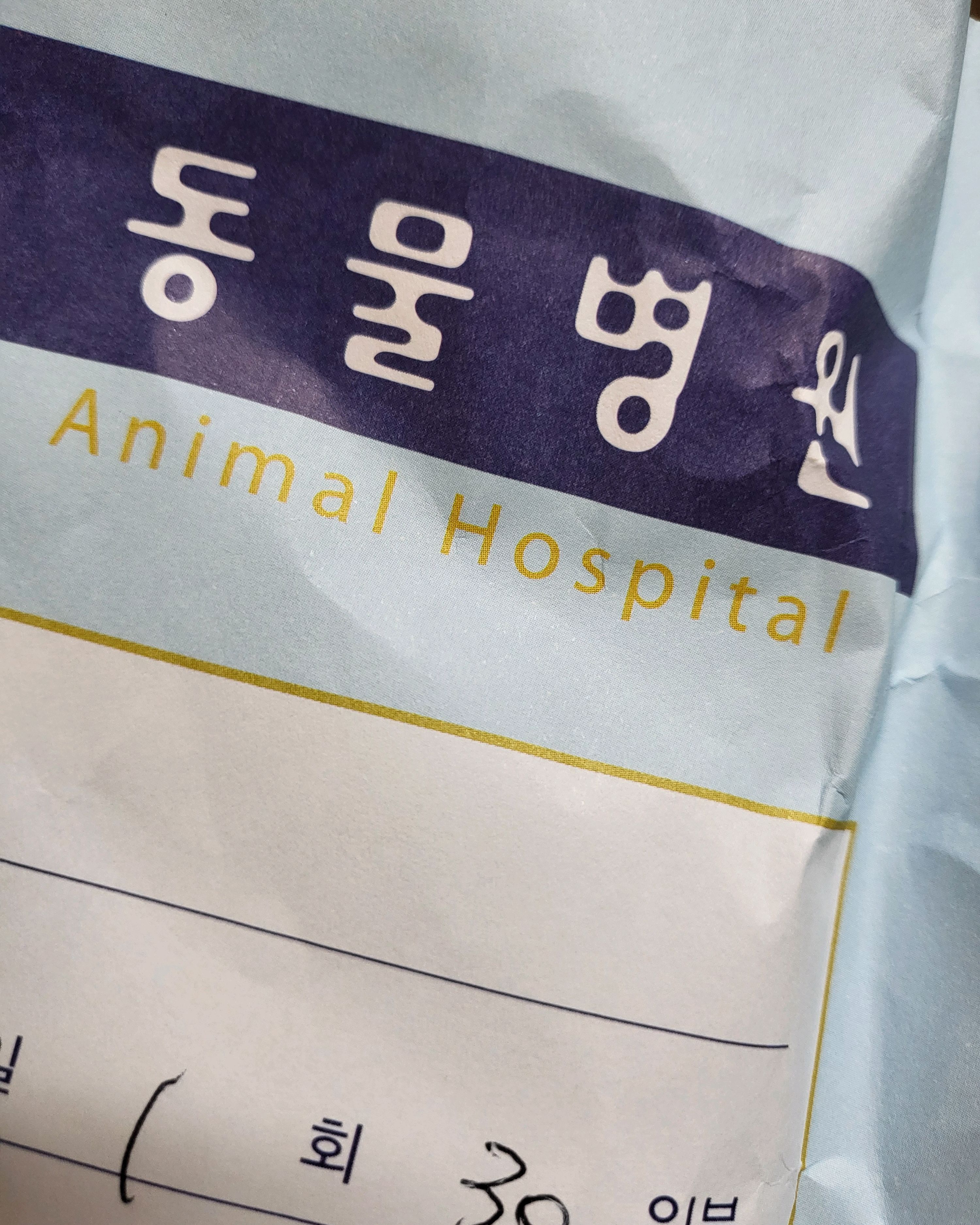 리뷰 사진 1