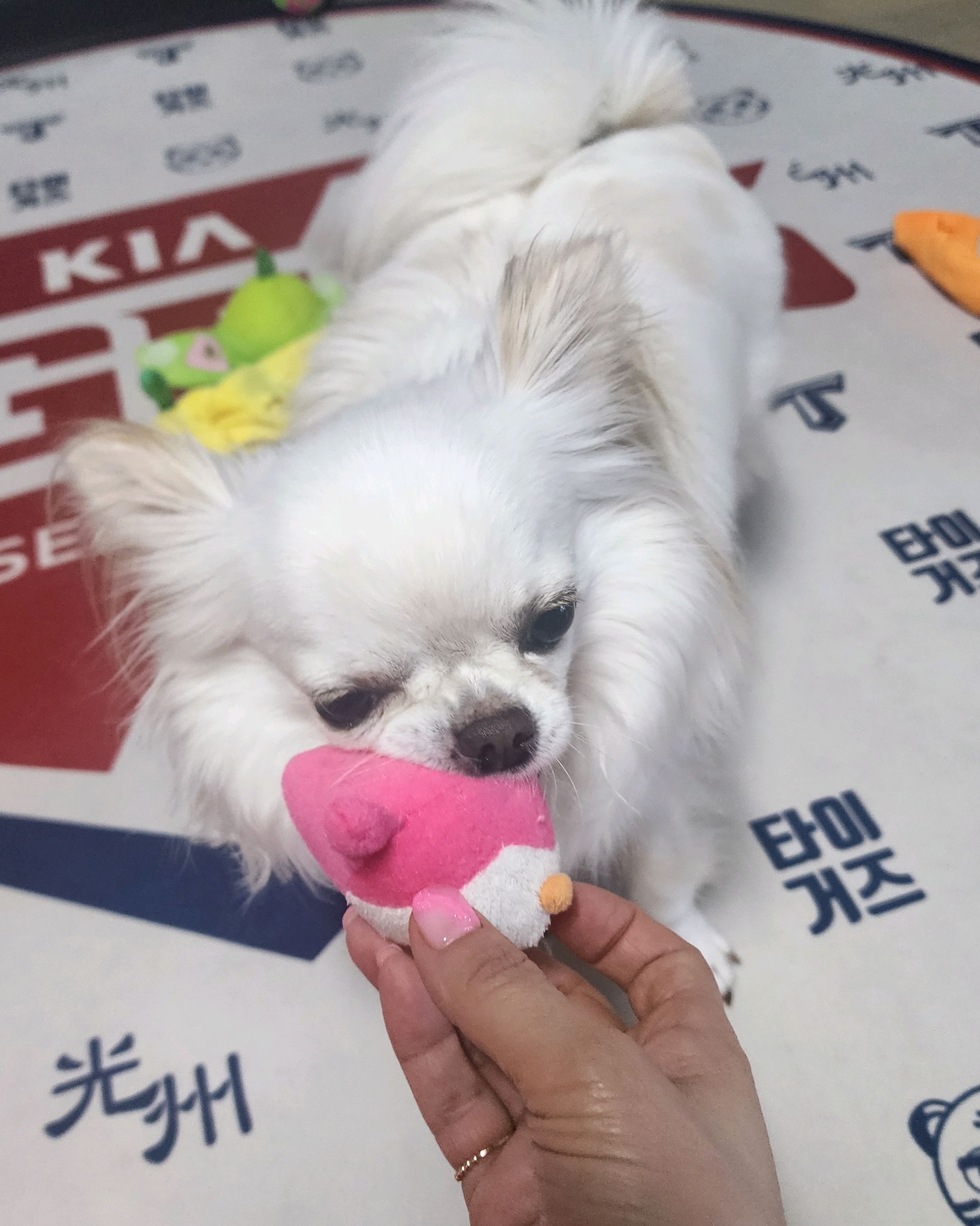 리뷰 사진 1