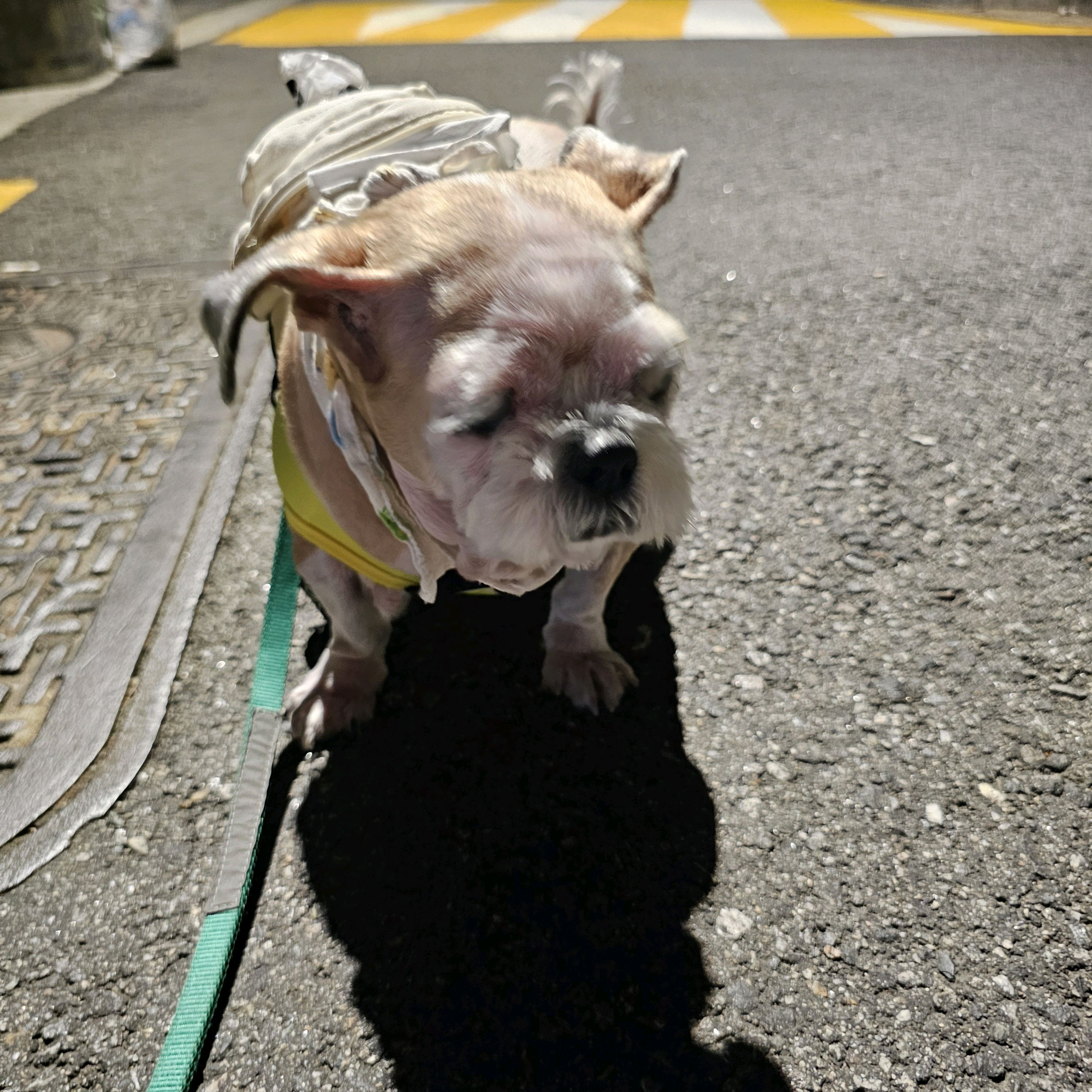 리뷰 사진 1