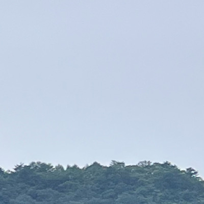 반려동물병원 사진 3
