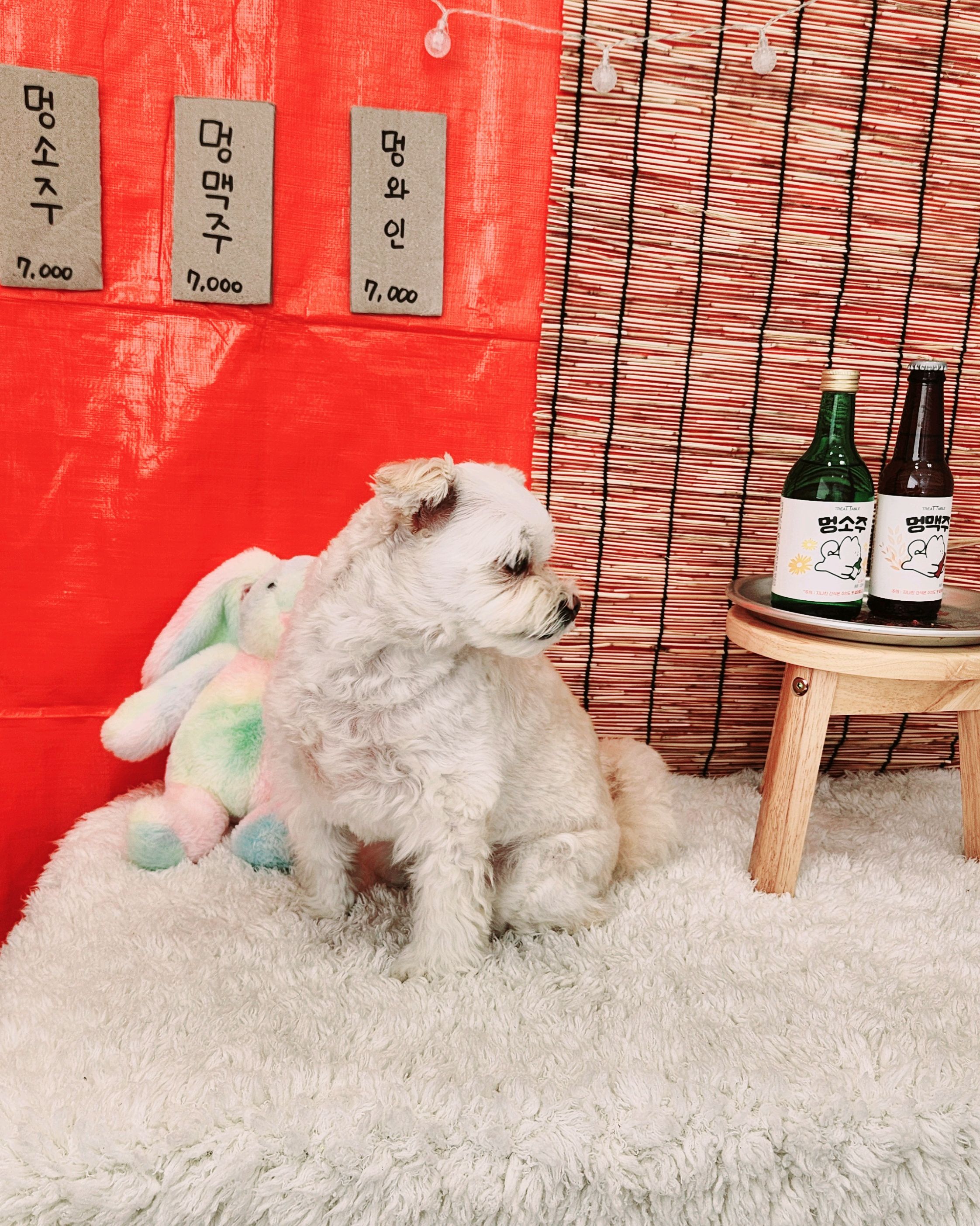 리뷰 사진 2