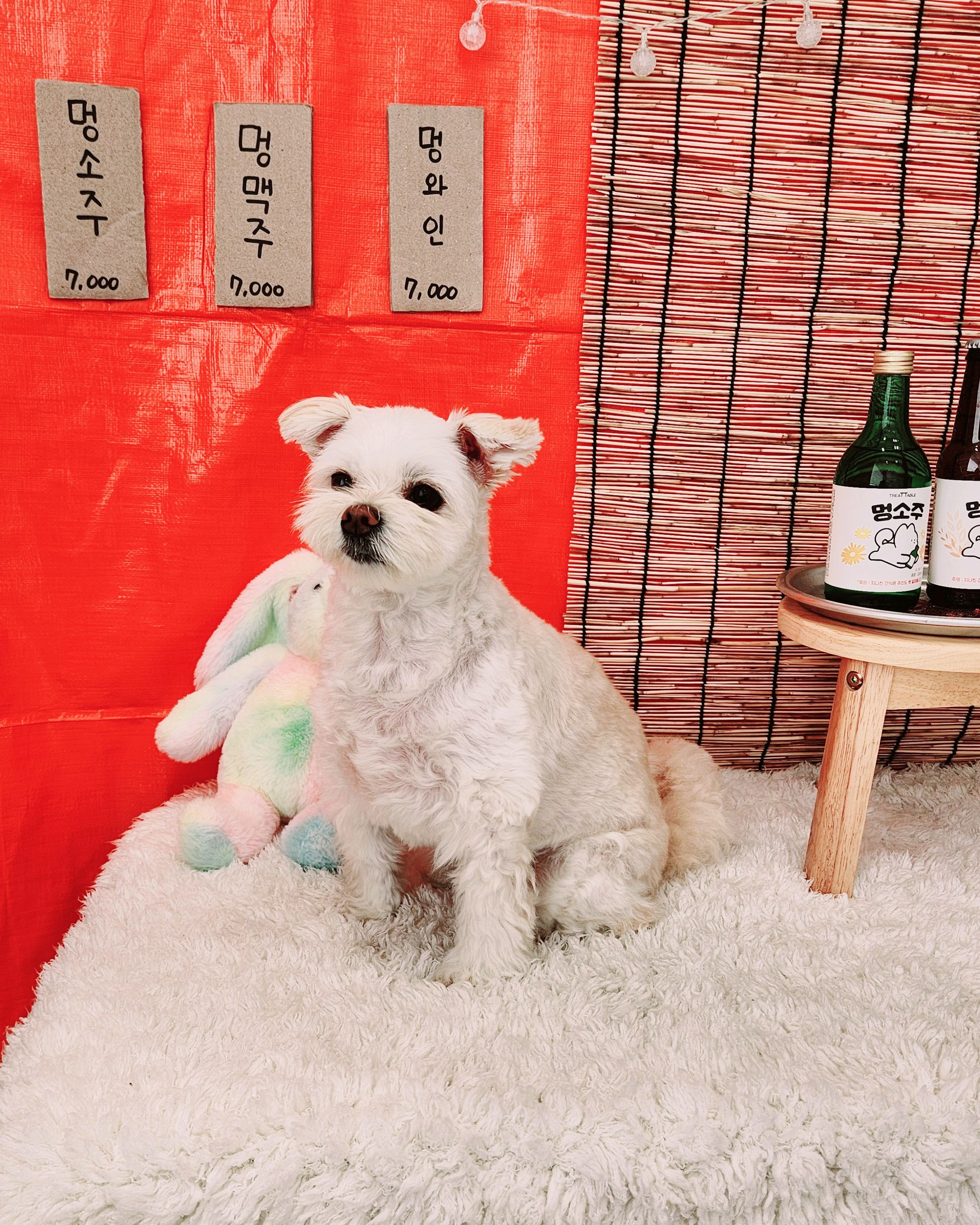 리뷰 사진 1