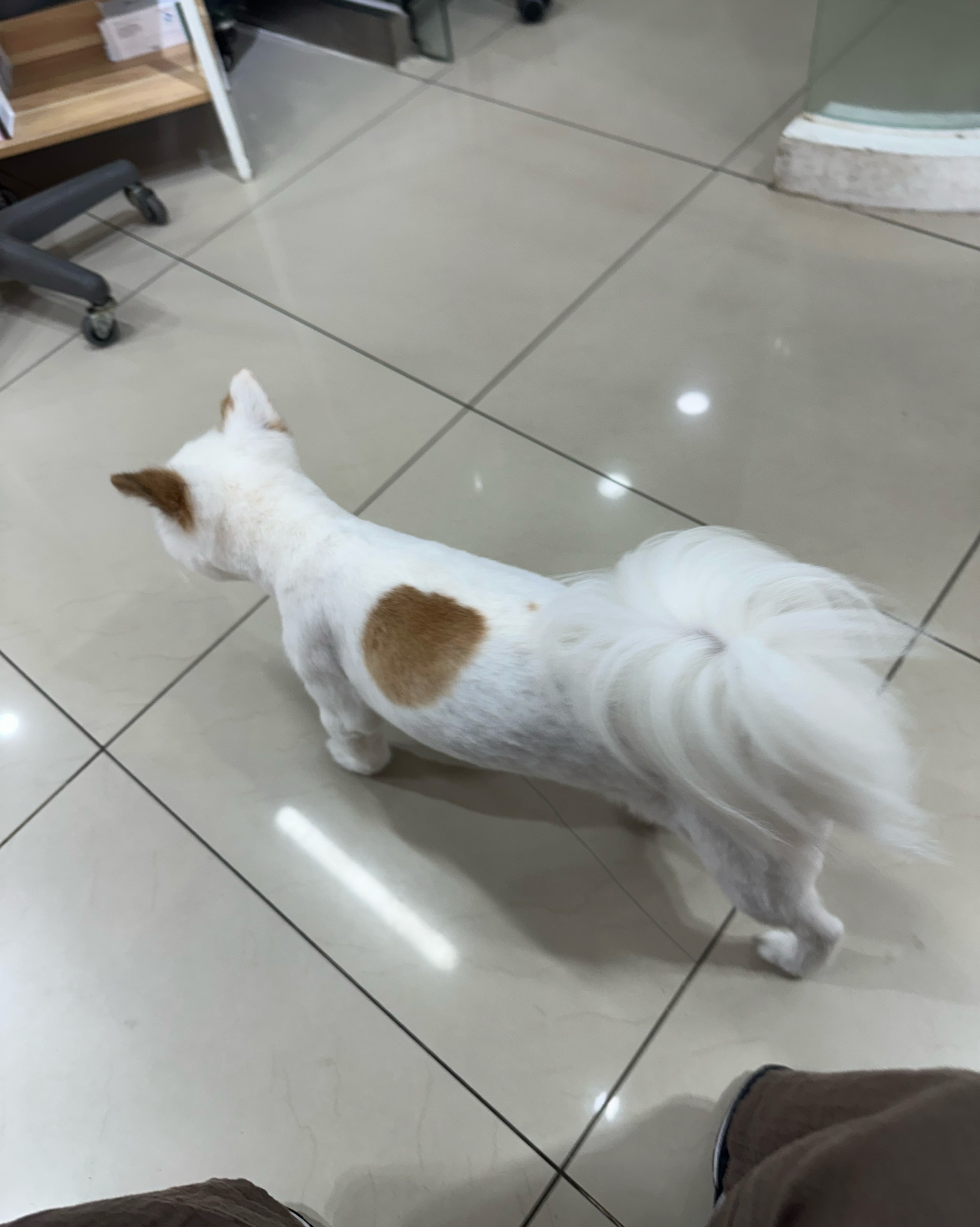 율전동물병원 사진 2