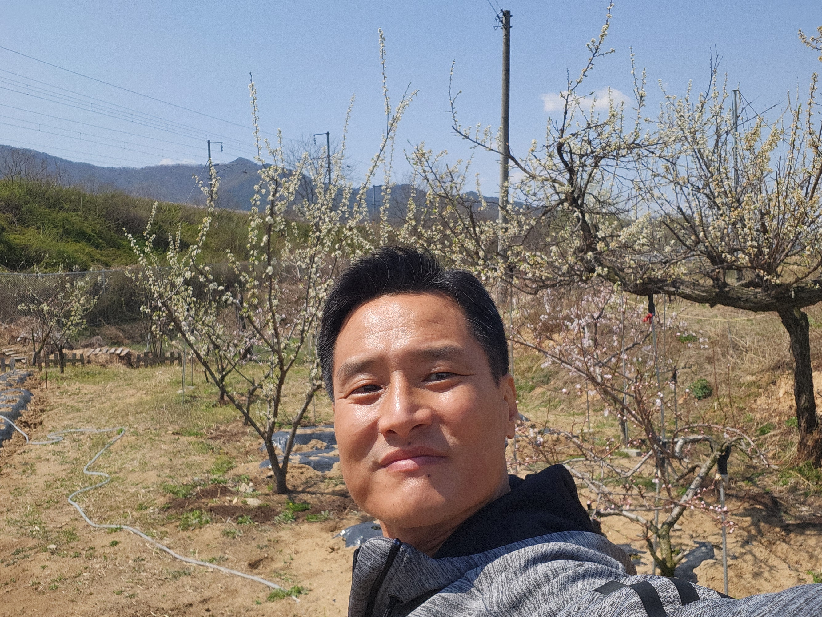 화창한 날씨 속 즐거운 식사 시간