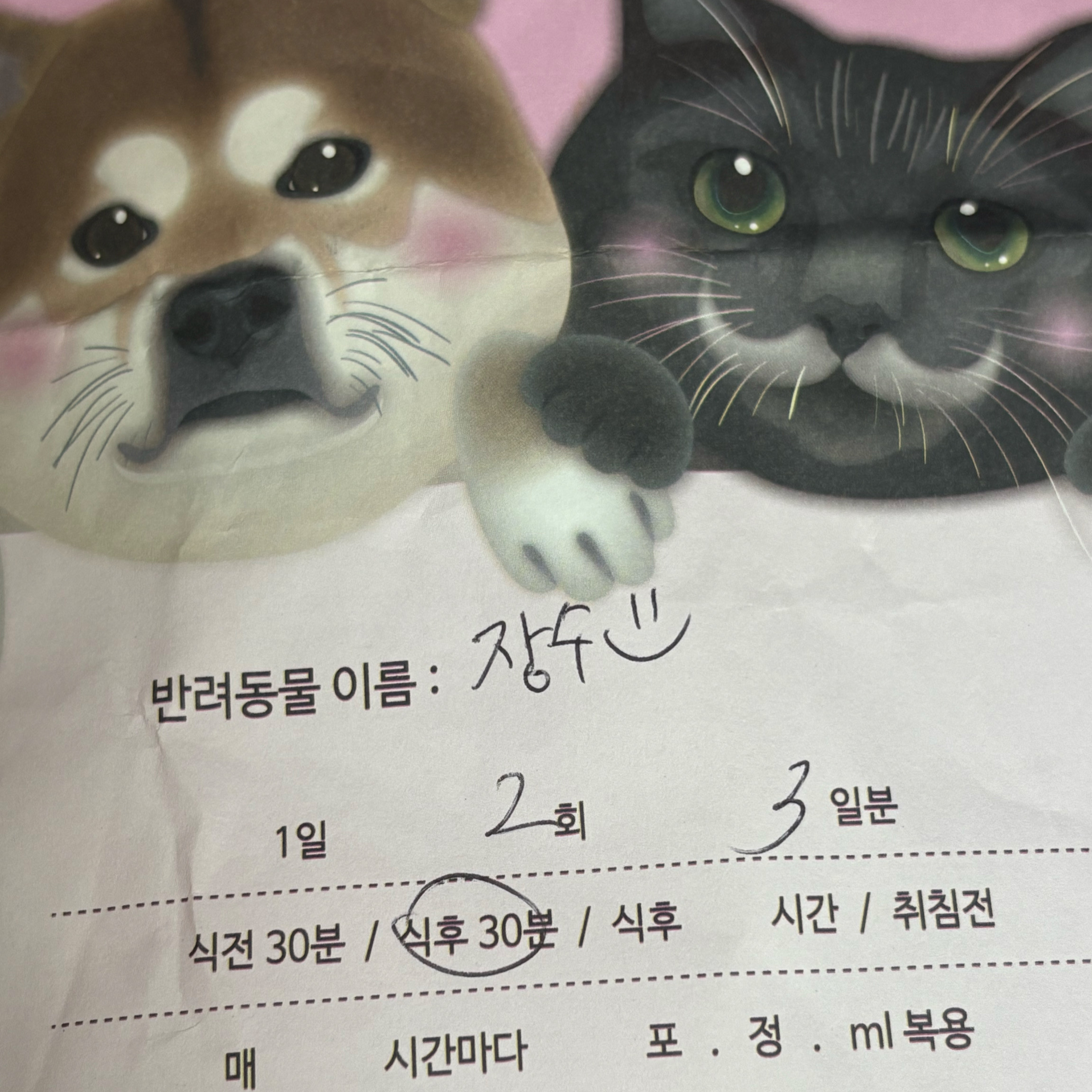 아란종합동물병원 사진 5