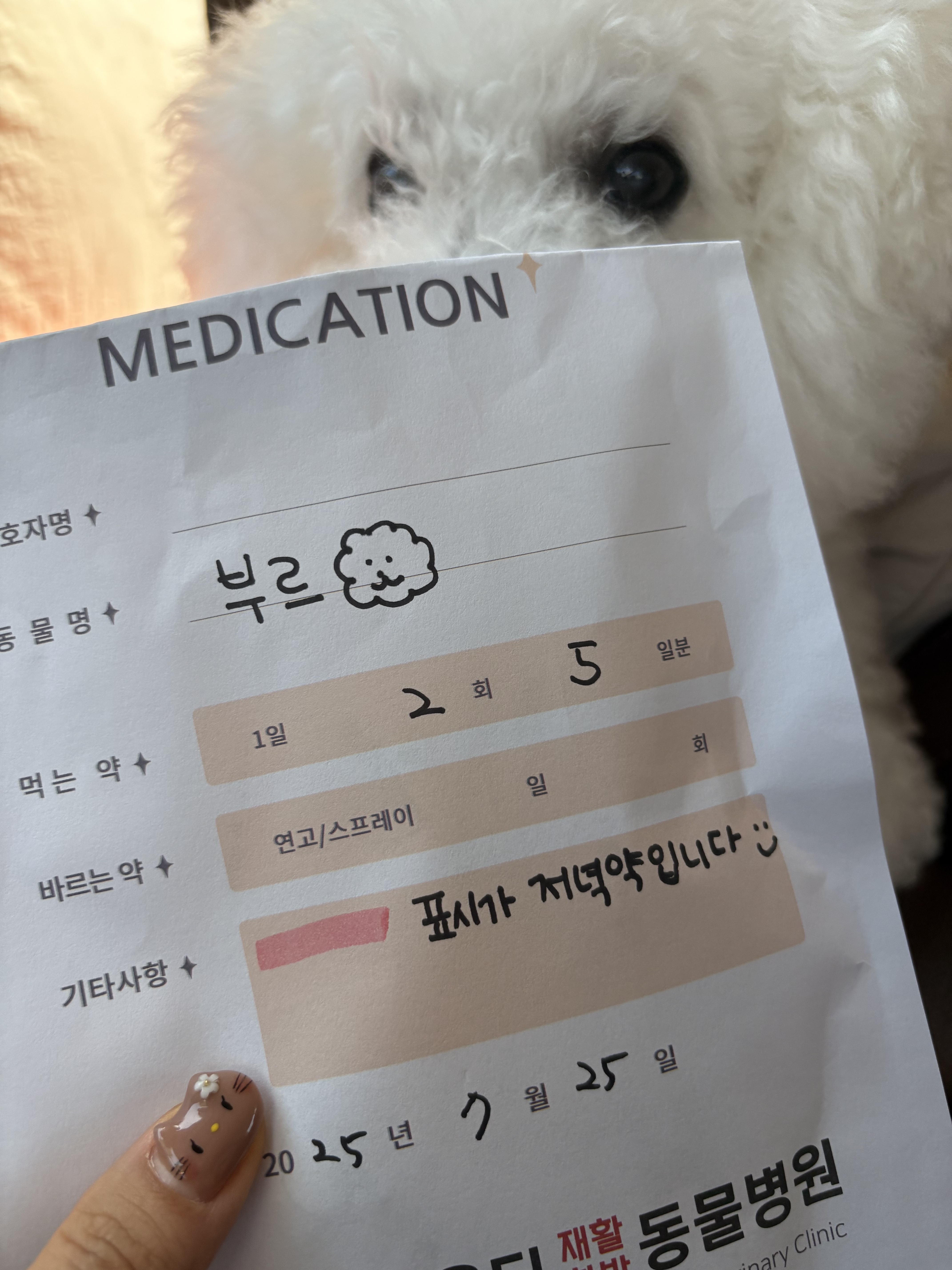 리뷰 사진 3