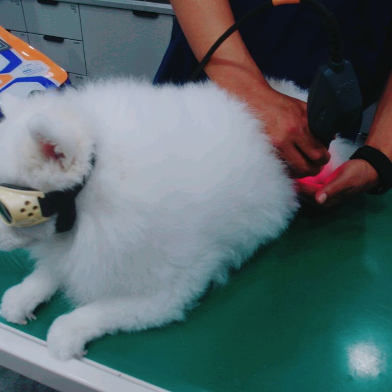 리뷰 사진 1