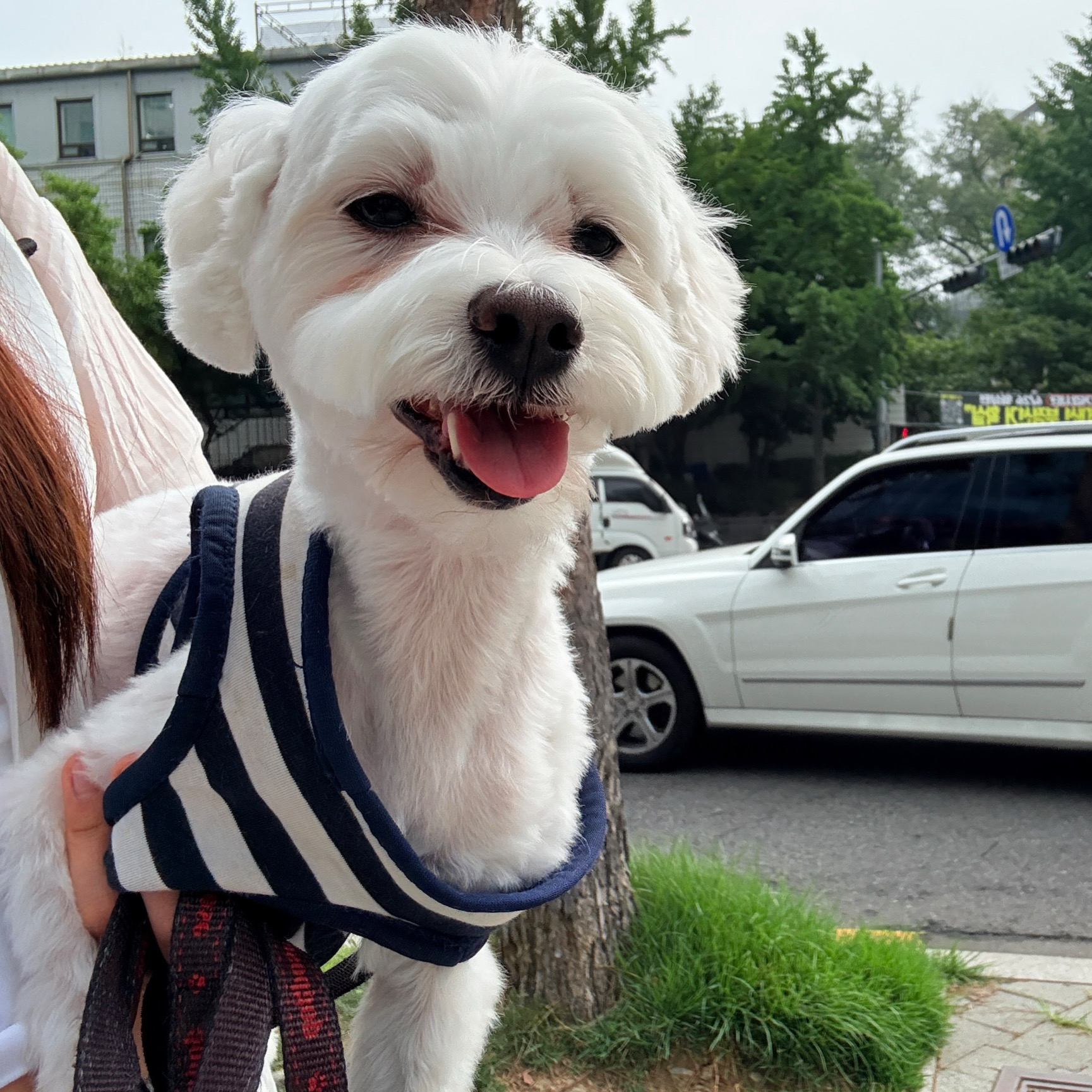 리뷰 사진 1