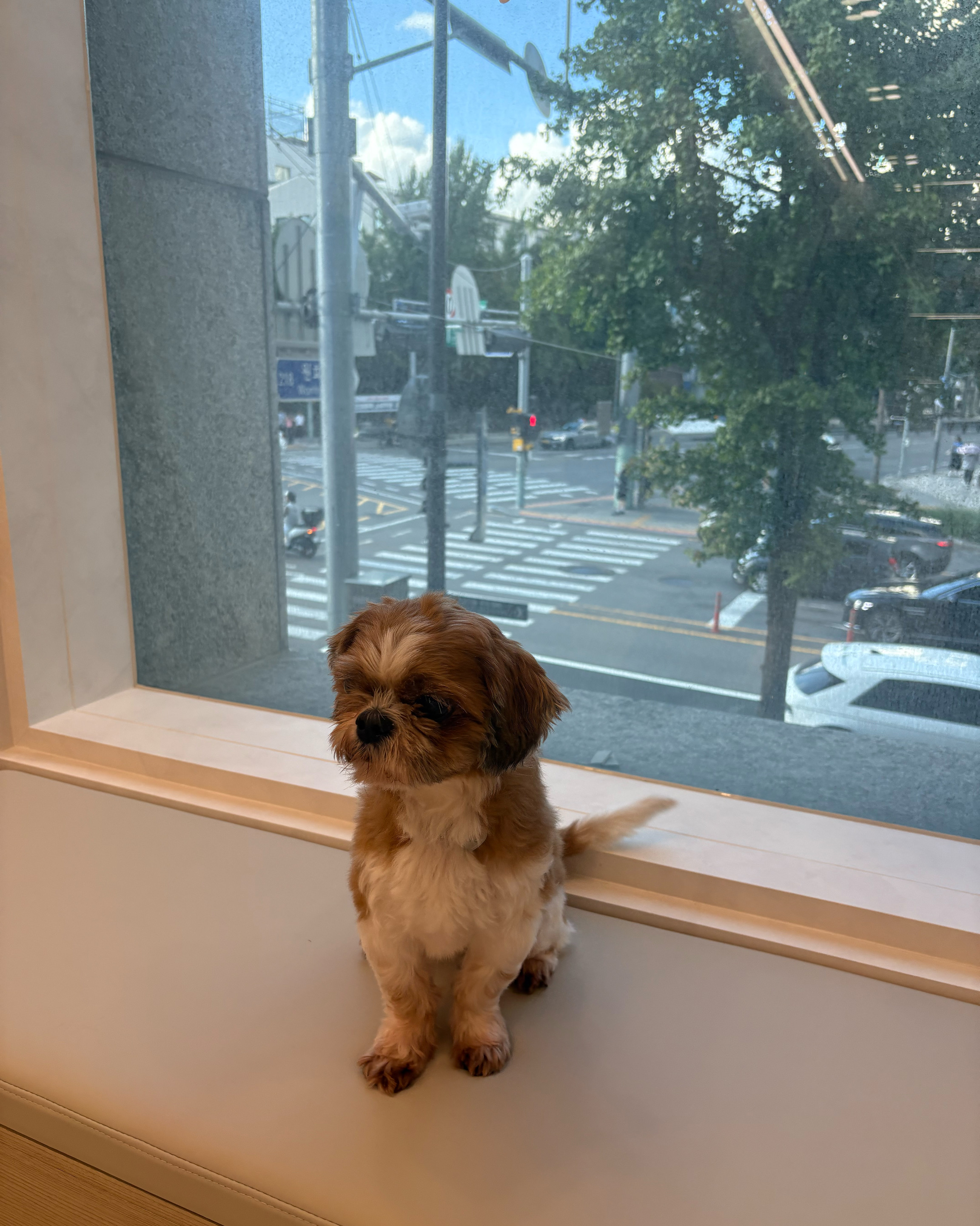 리뷰 사진 1