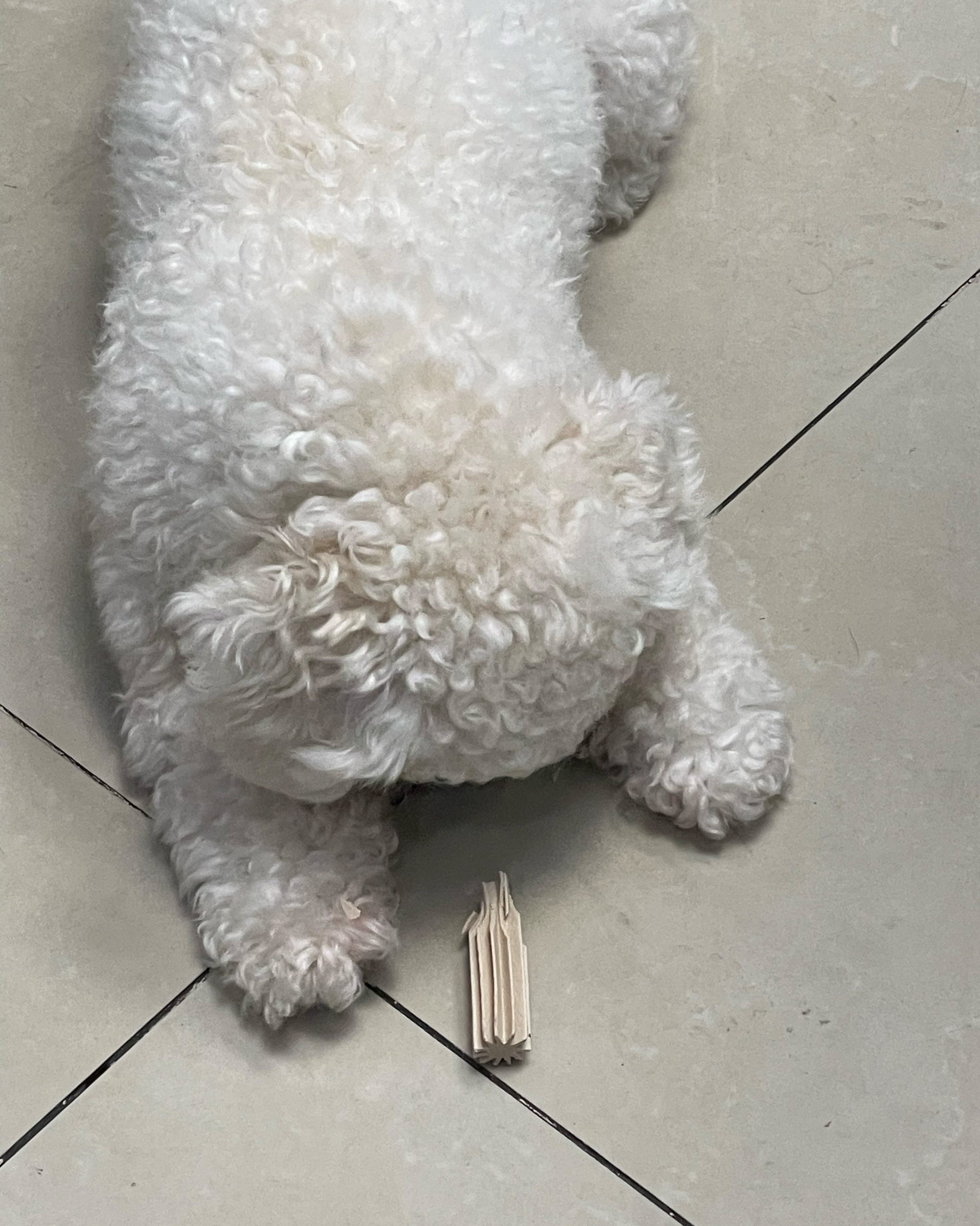 리뷰 사진 1