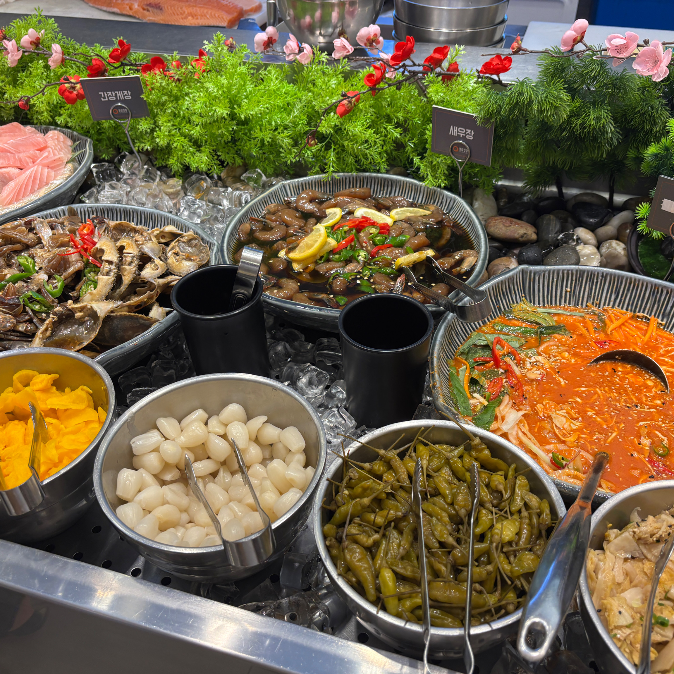 원래도 최고였지만 요즘 더 최고인 광주 무힌리필 뷔페 쿠우쿠우! 하남점에서 초밥, 롤, 한