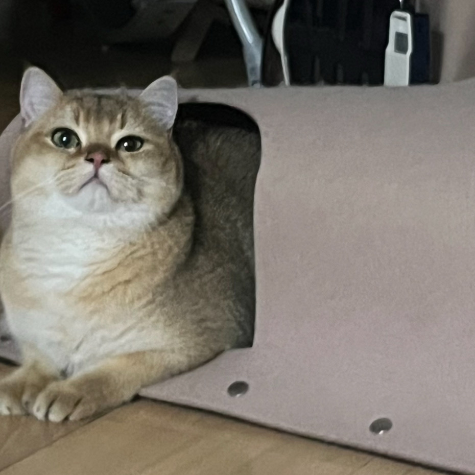 리뷰 사진 1