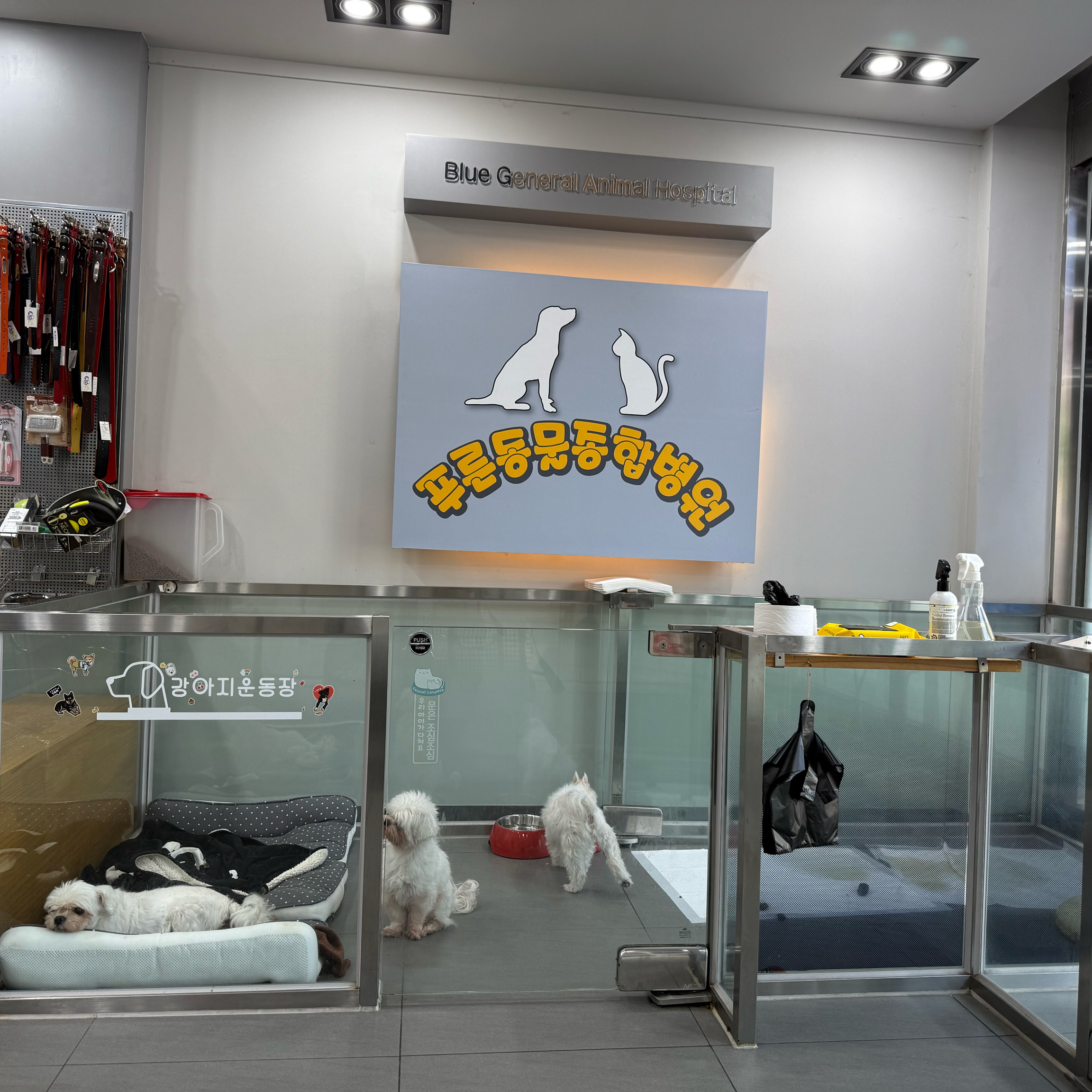 리뷰 사진 1