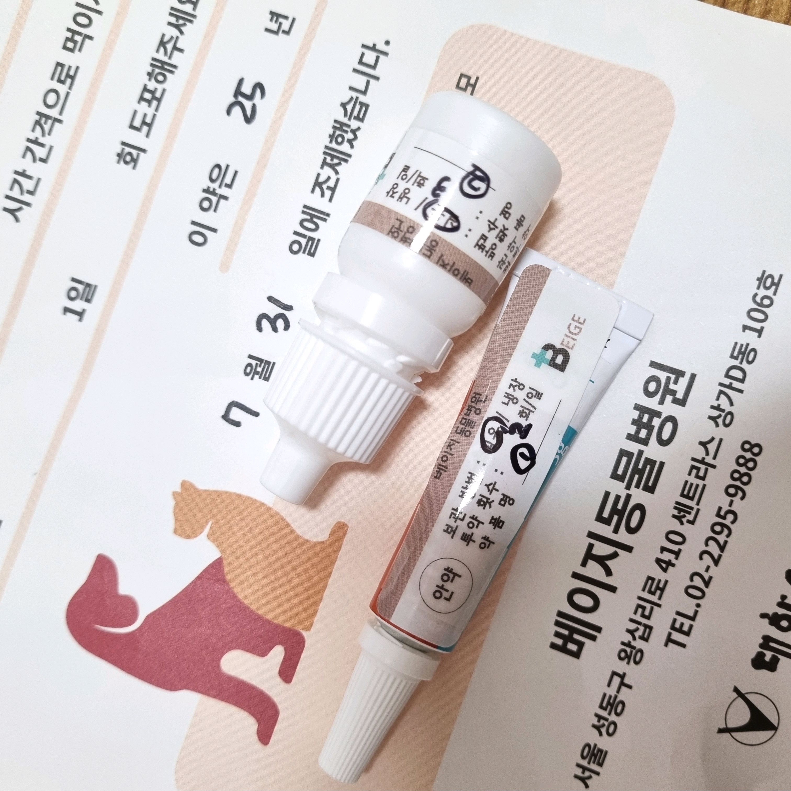 리뷰 사진 1