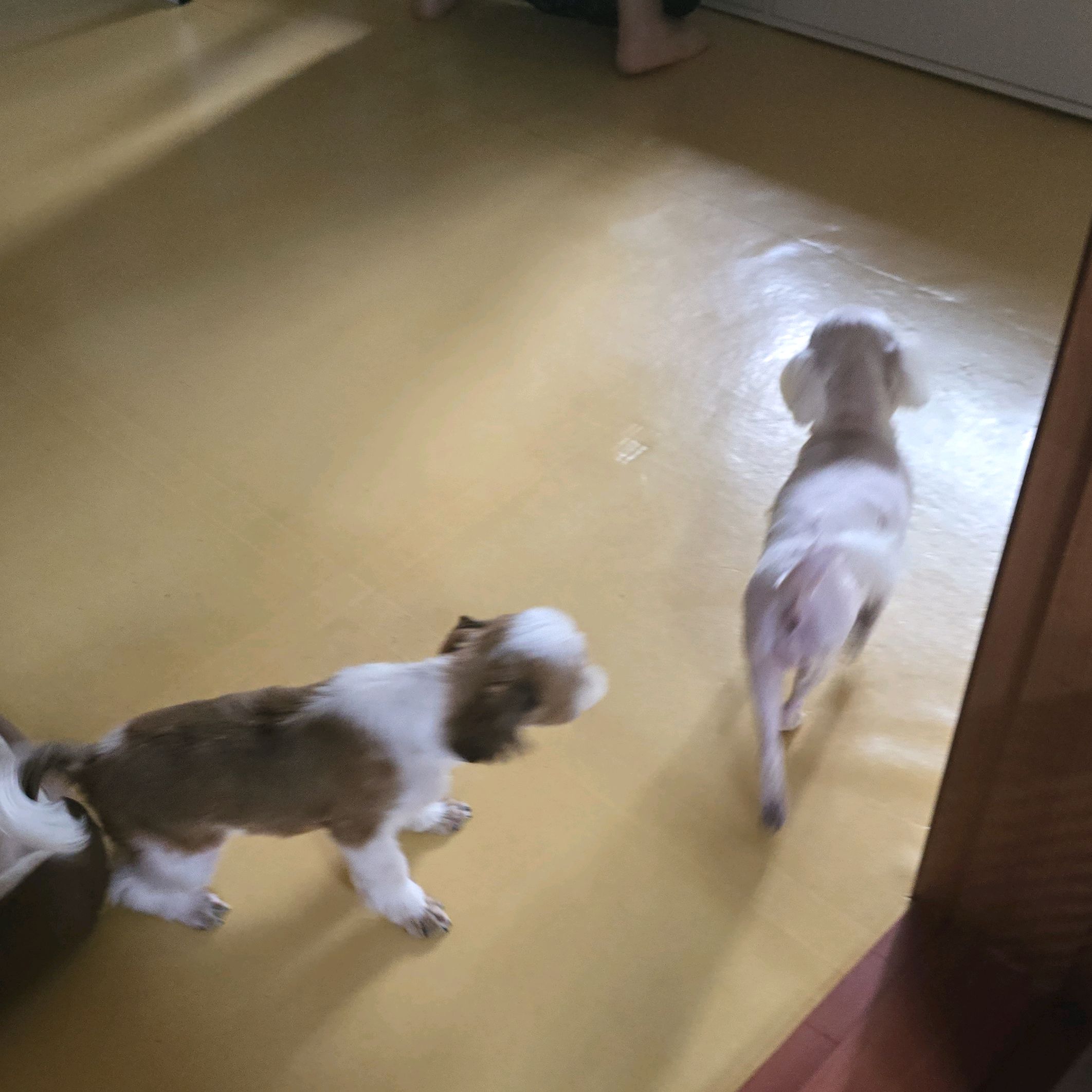 리뷰 사진 2
