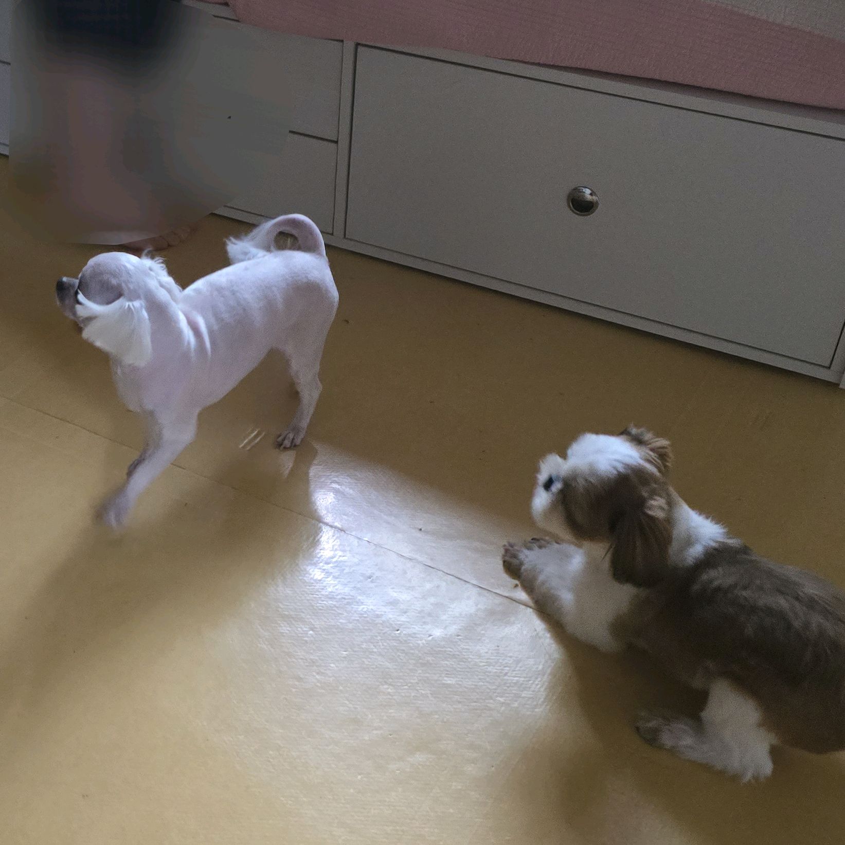 리뷰 사진 1