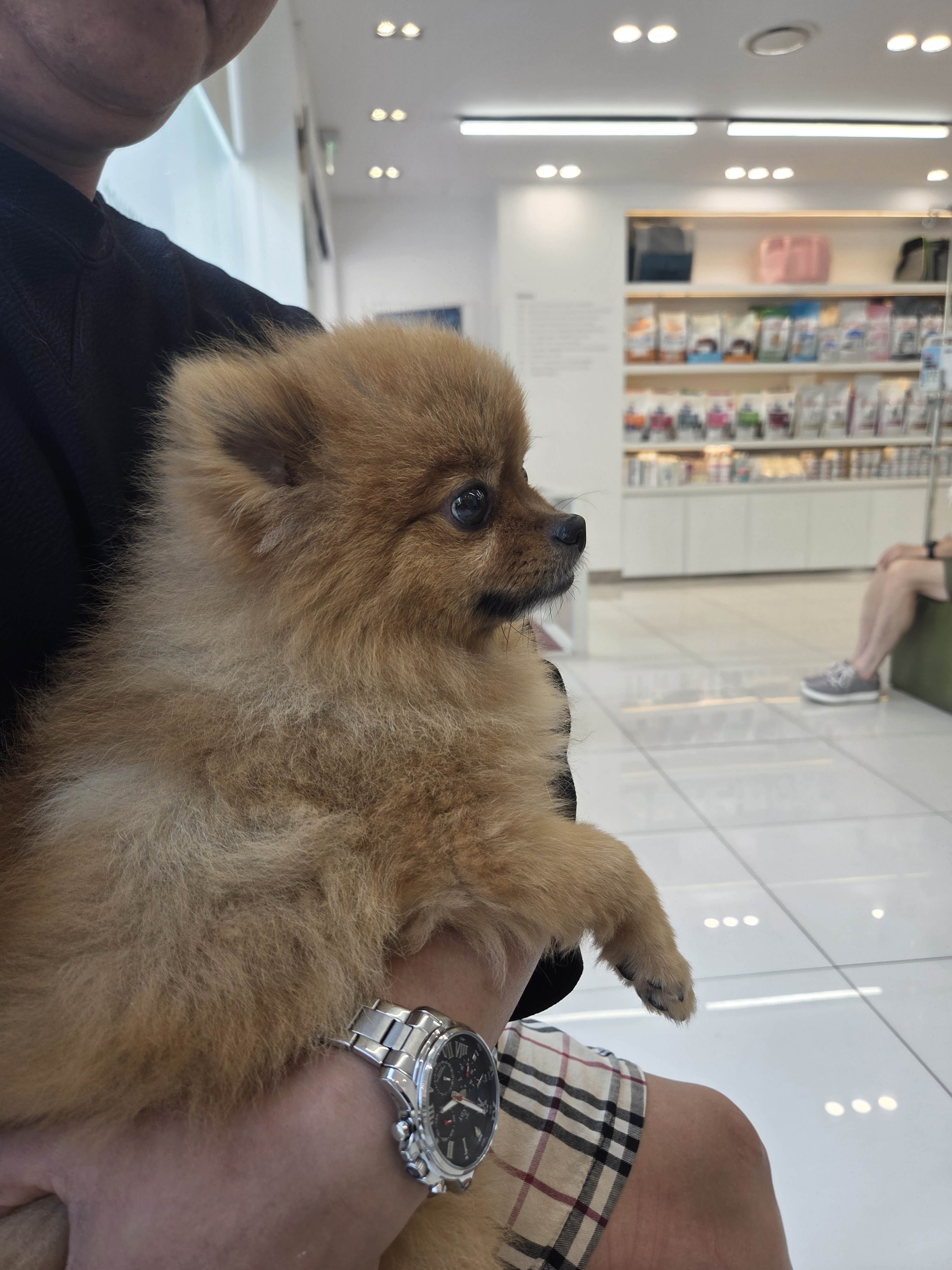 리뷰 사진 1