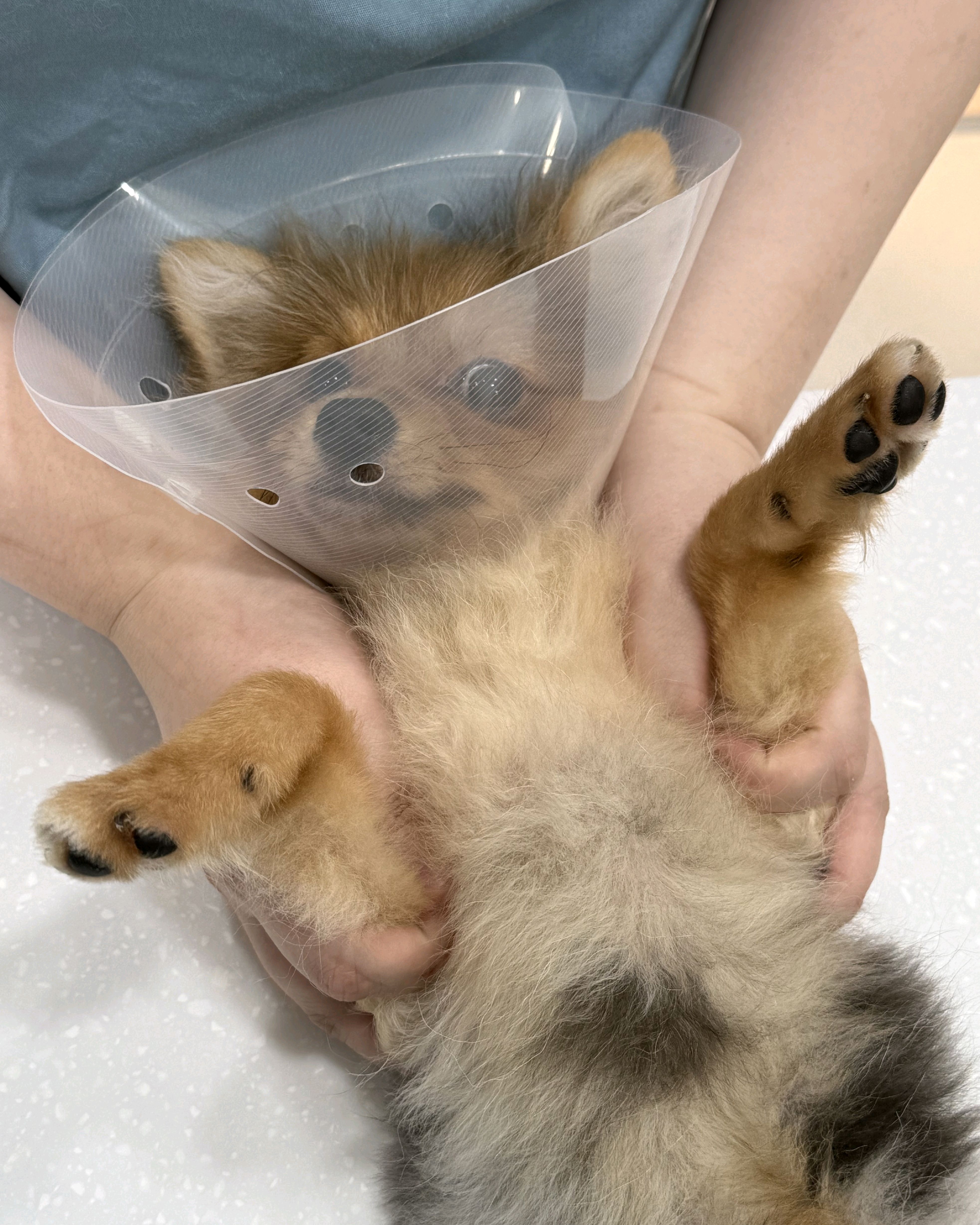 리뷰 사진 1