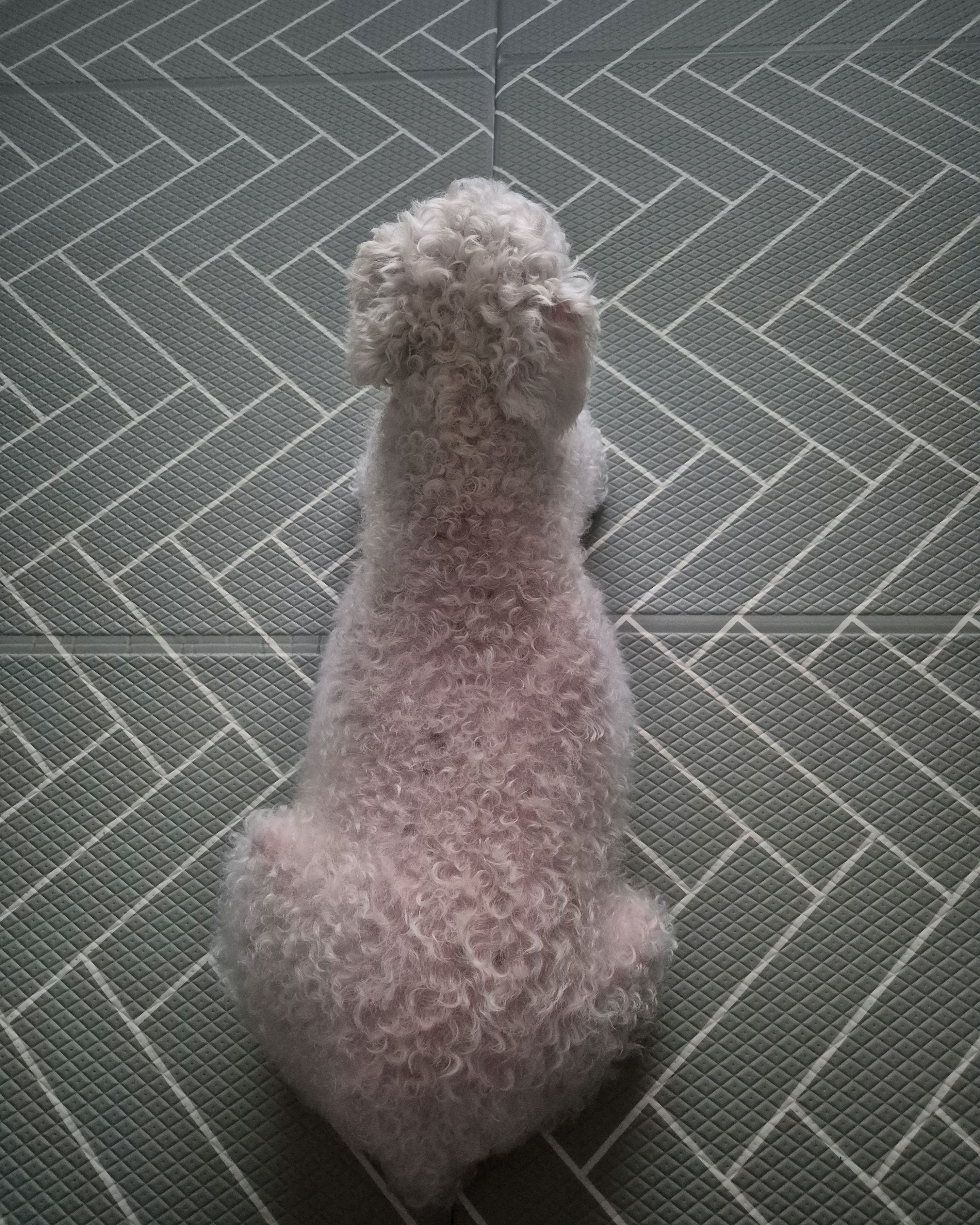 리뷰 사진 1