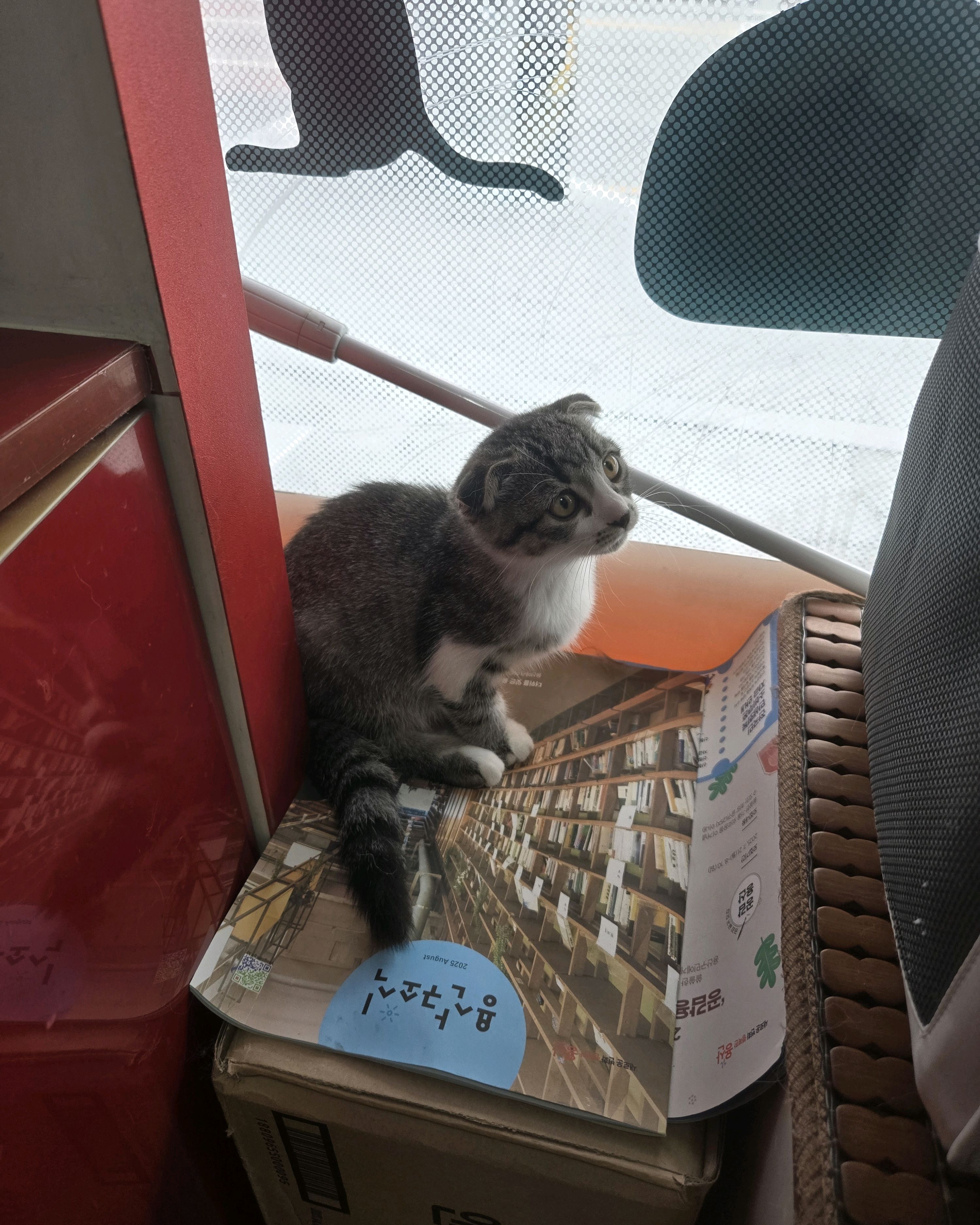 리뷰 사진 1