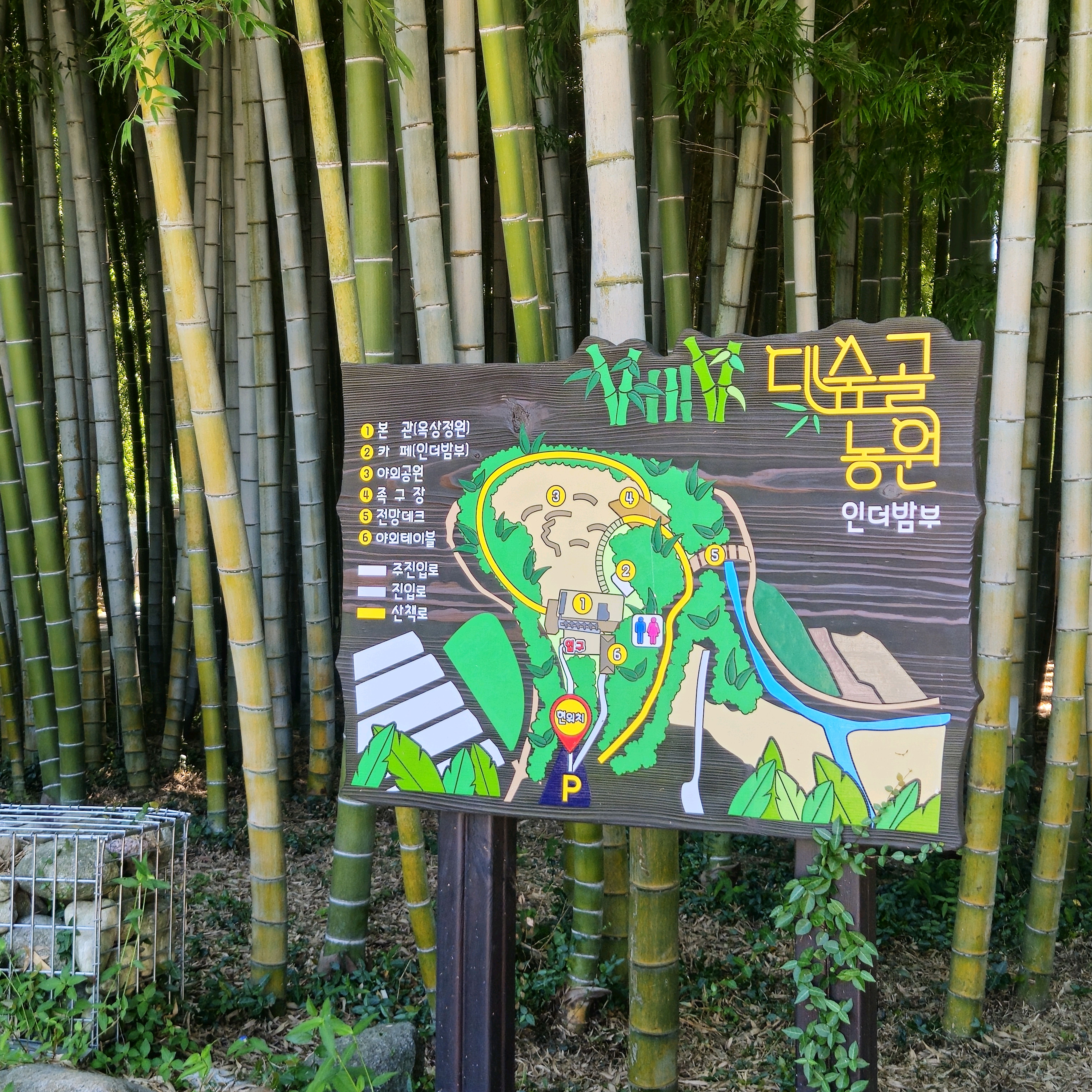 대나무 숲 풍경