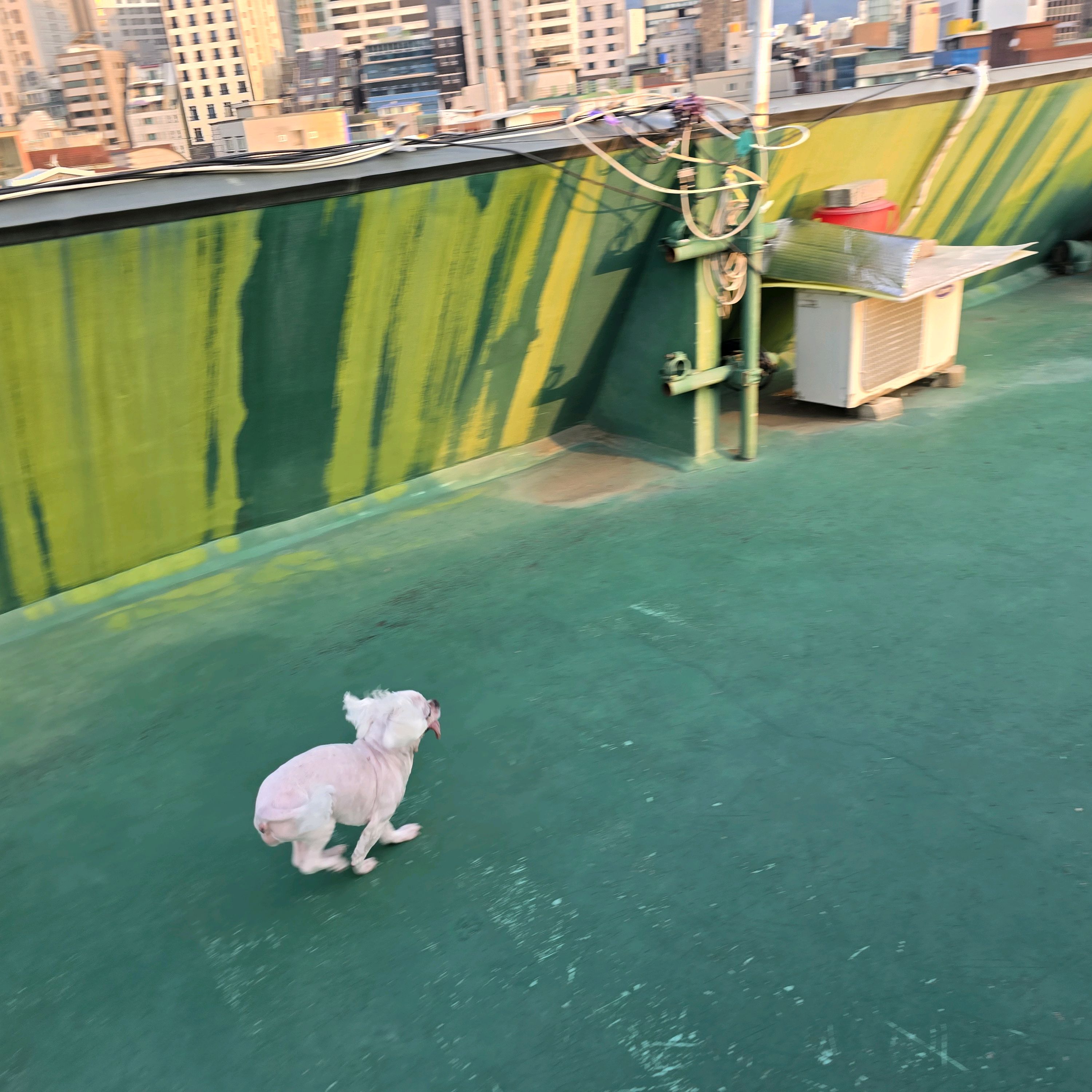 리뷰 사진 6
