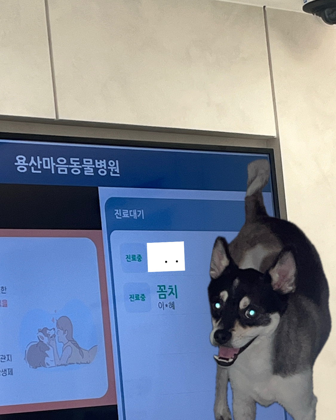 리뷰 사진 1