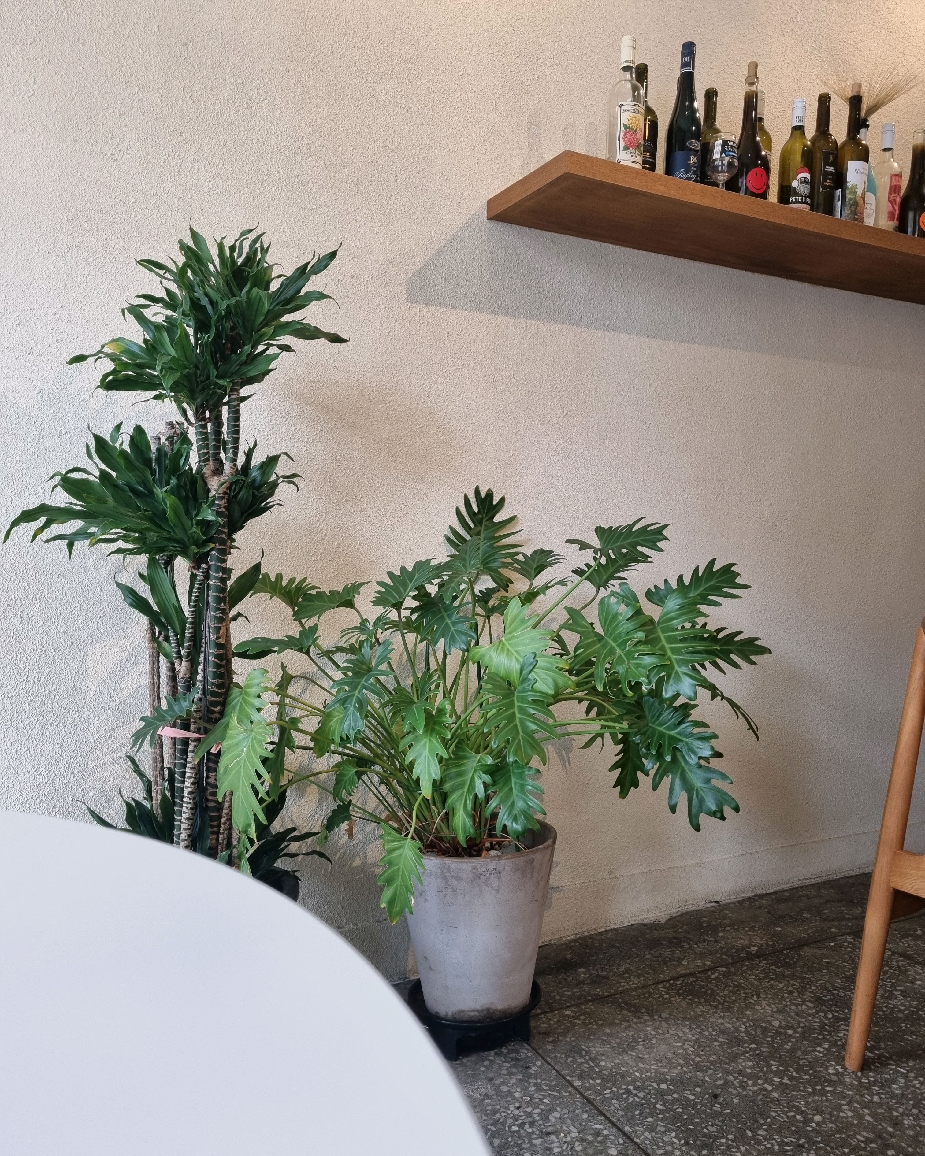 보네르현의 아늑한 인테리어