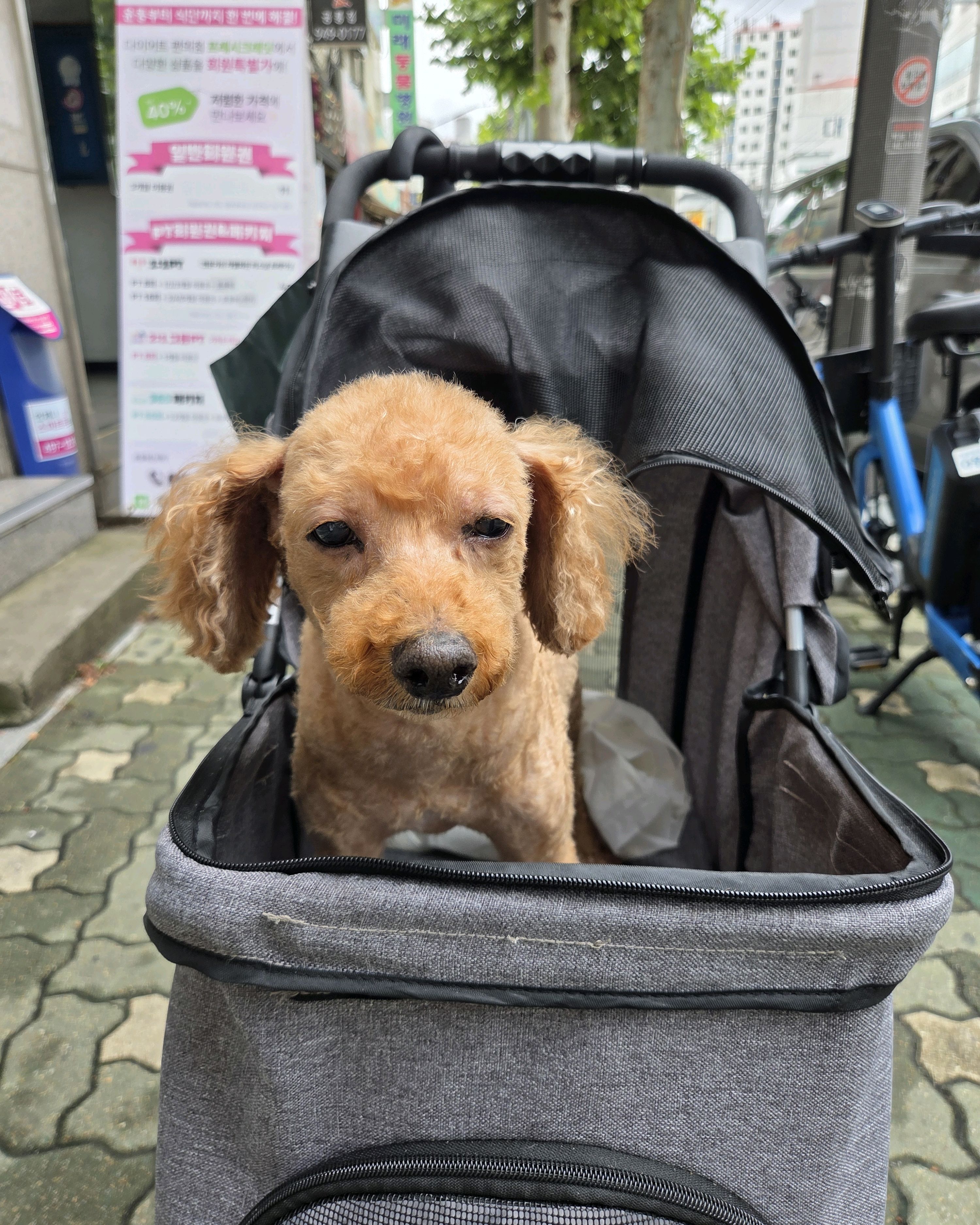 리뷰 사진 2